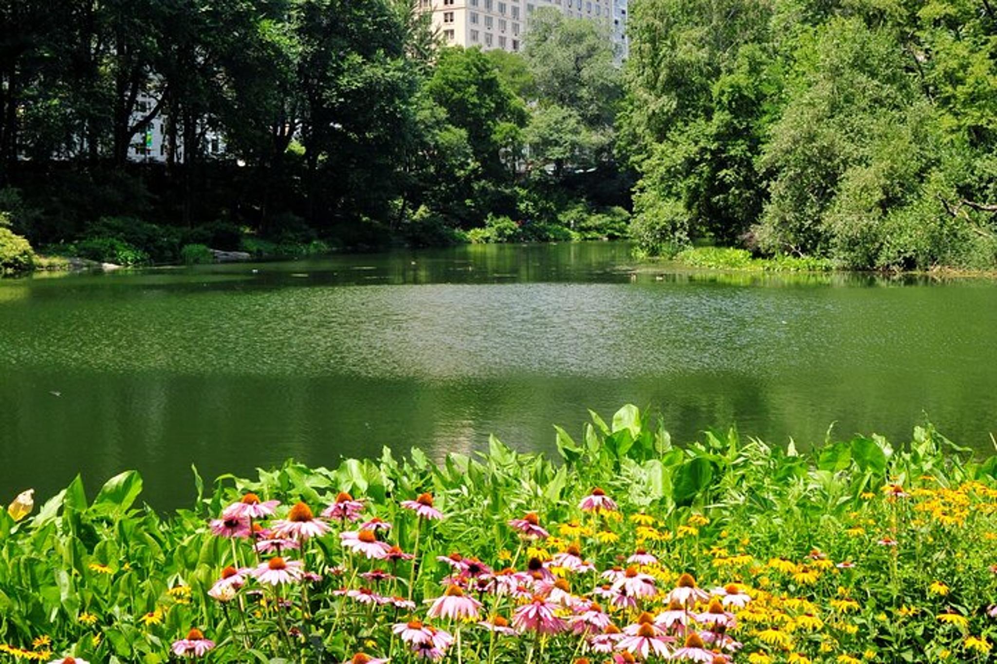 New York City Central Park Scenic Walk - Image 2