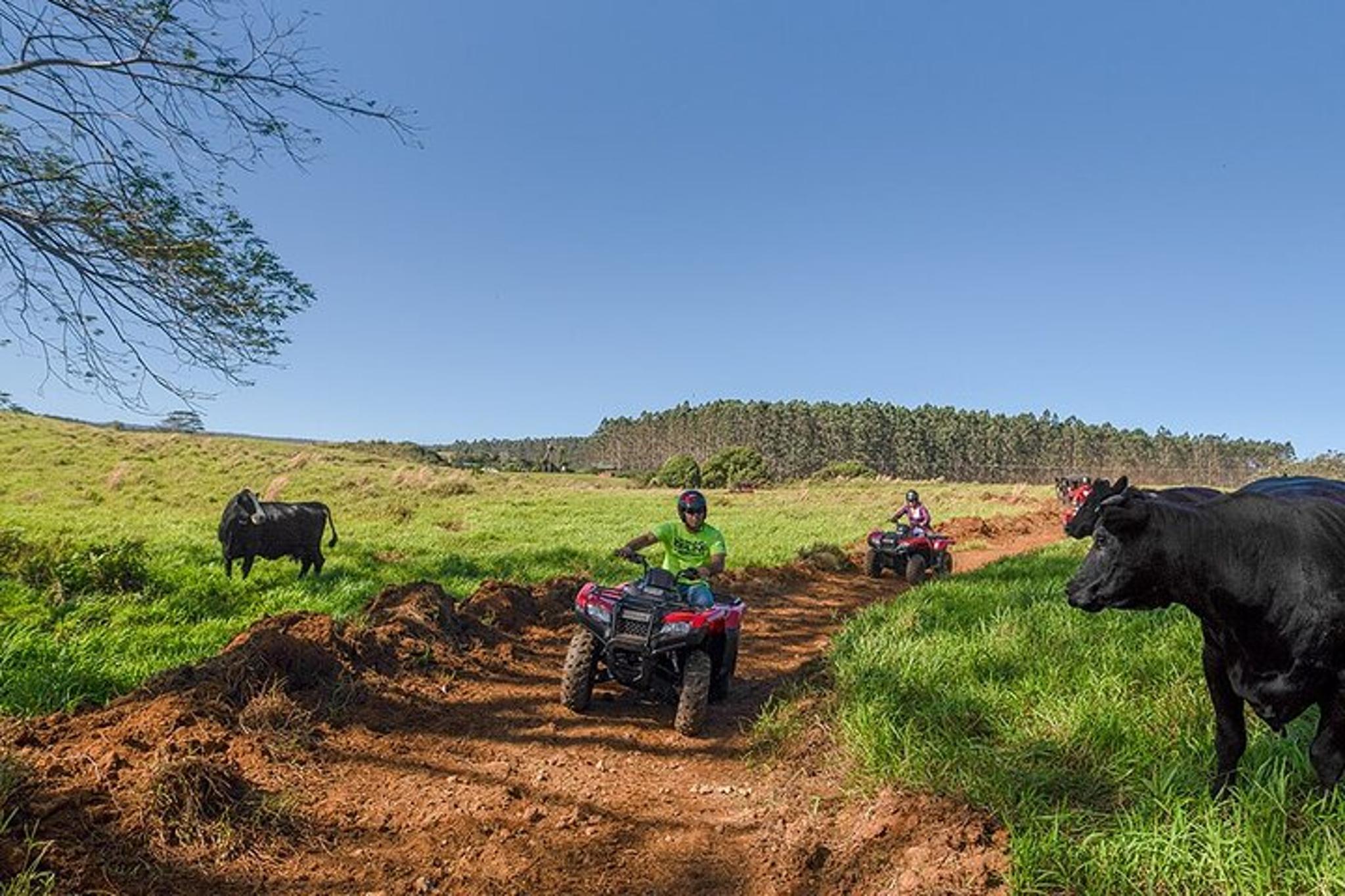 Hilo ATV Waterfall and Swim Adventure 90 Min - Image 4