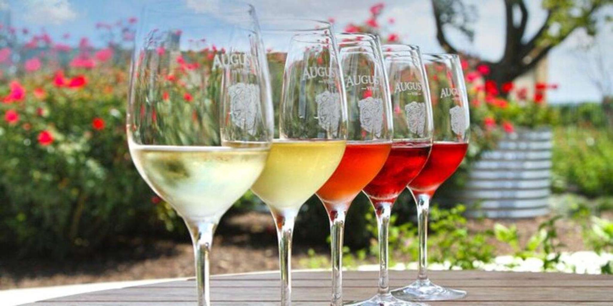 Santa Barbara Funk Zone Wine and Food Tour