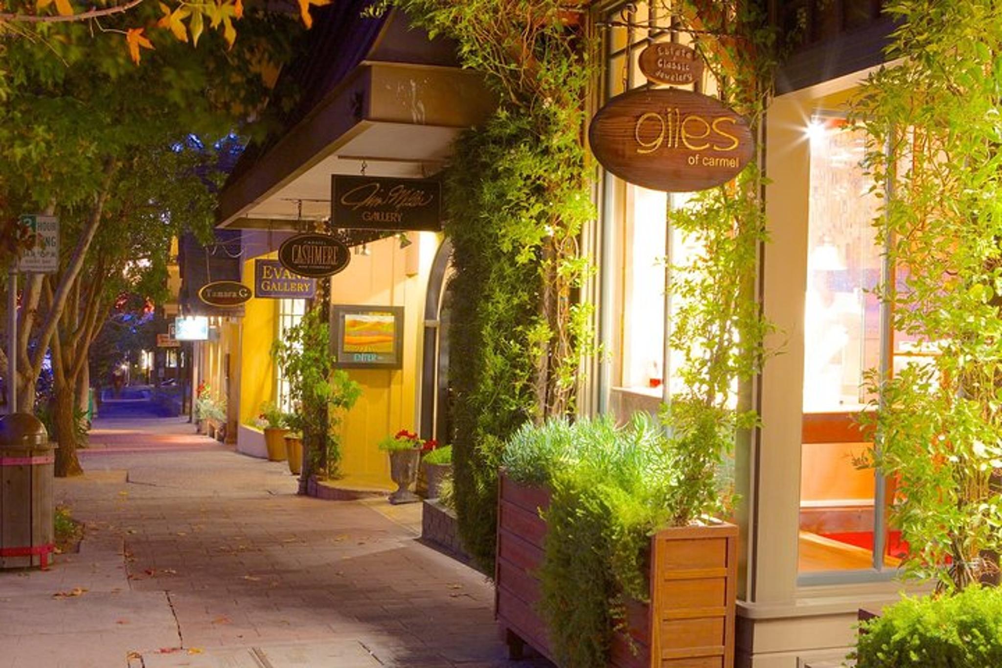 San Francisco Private Transfer from Carmel-by-the-Sea - Image 1