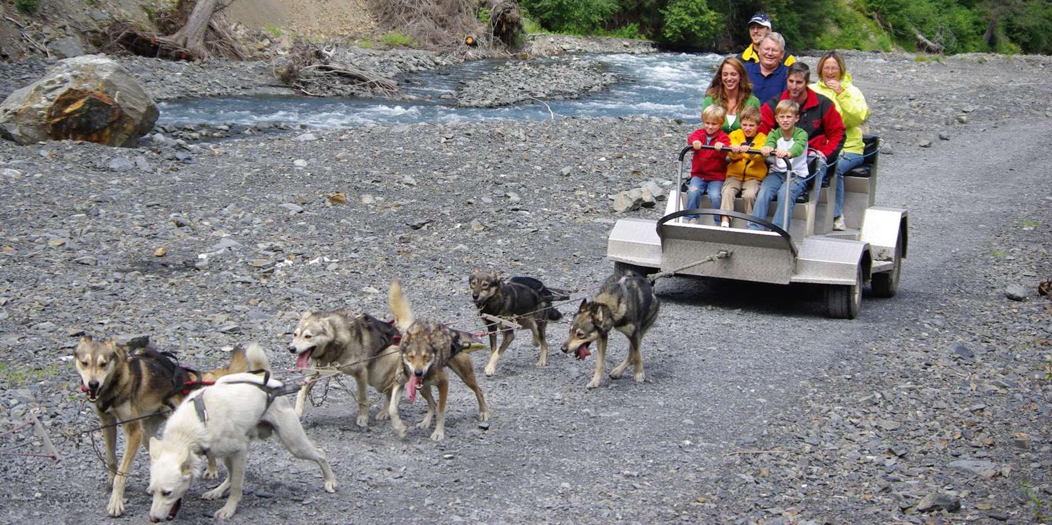 Seward Dog Sled Ride and Kennel Tour