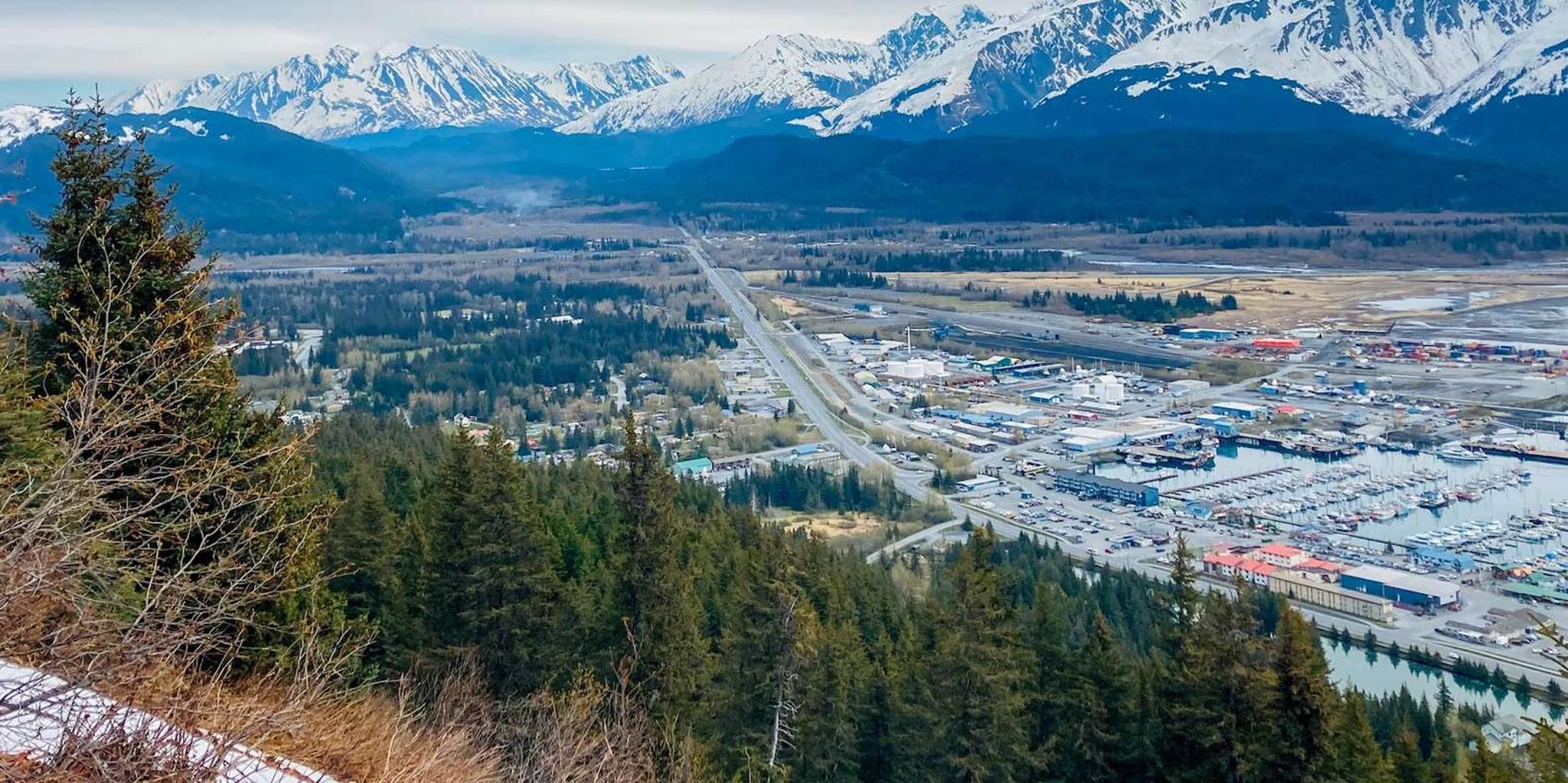 Seward Wilderness Hiking Tour - Image 6