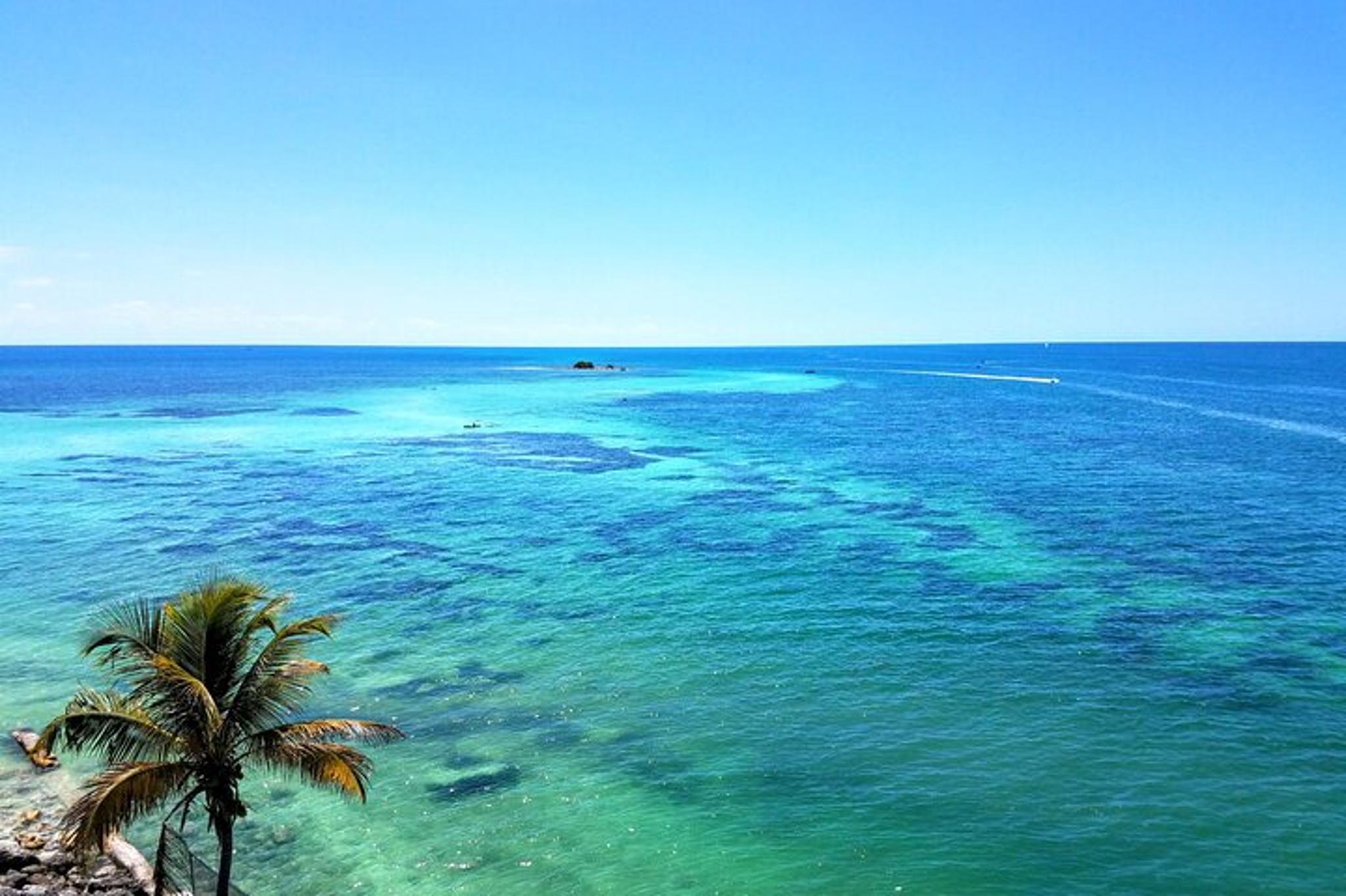 Miami to Key West Full-Day Tour - Image 1