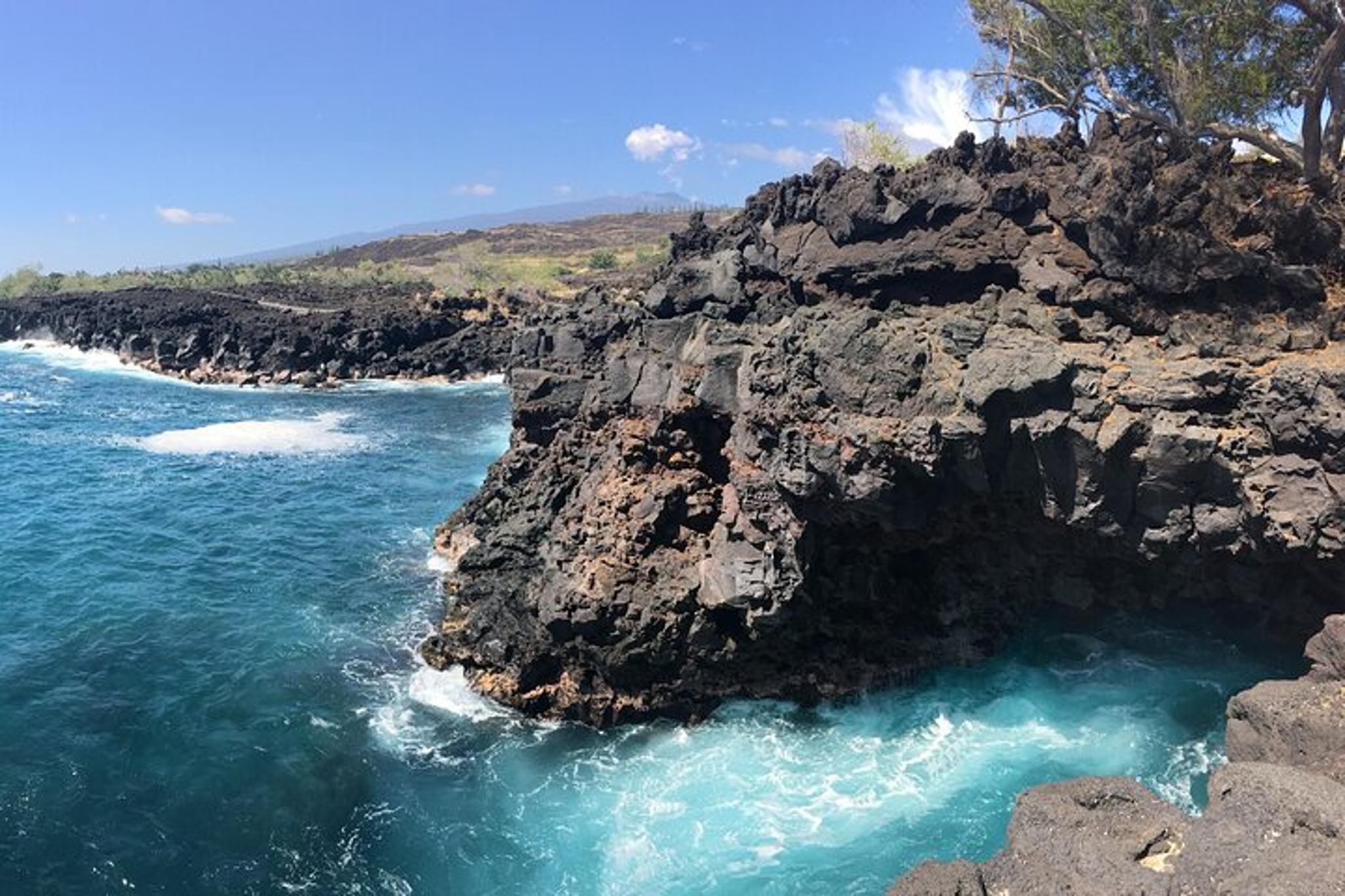 Kailua-Kona Snorkel and Wildlife Watch 2.5 hr - Image 6