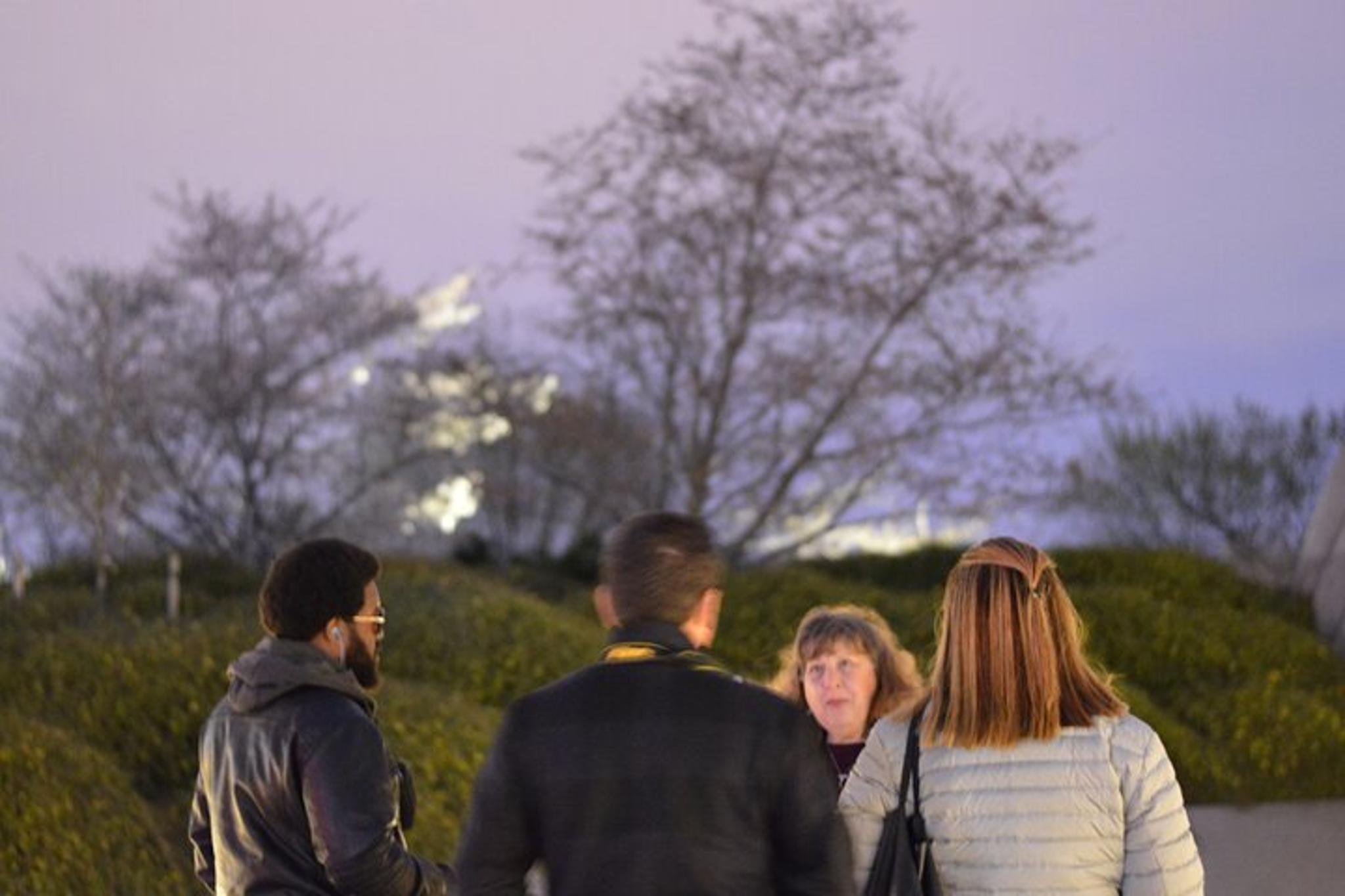 Washington DC Monuments Night Tour - Image 3