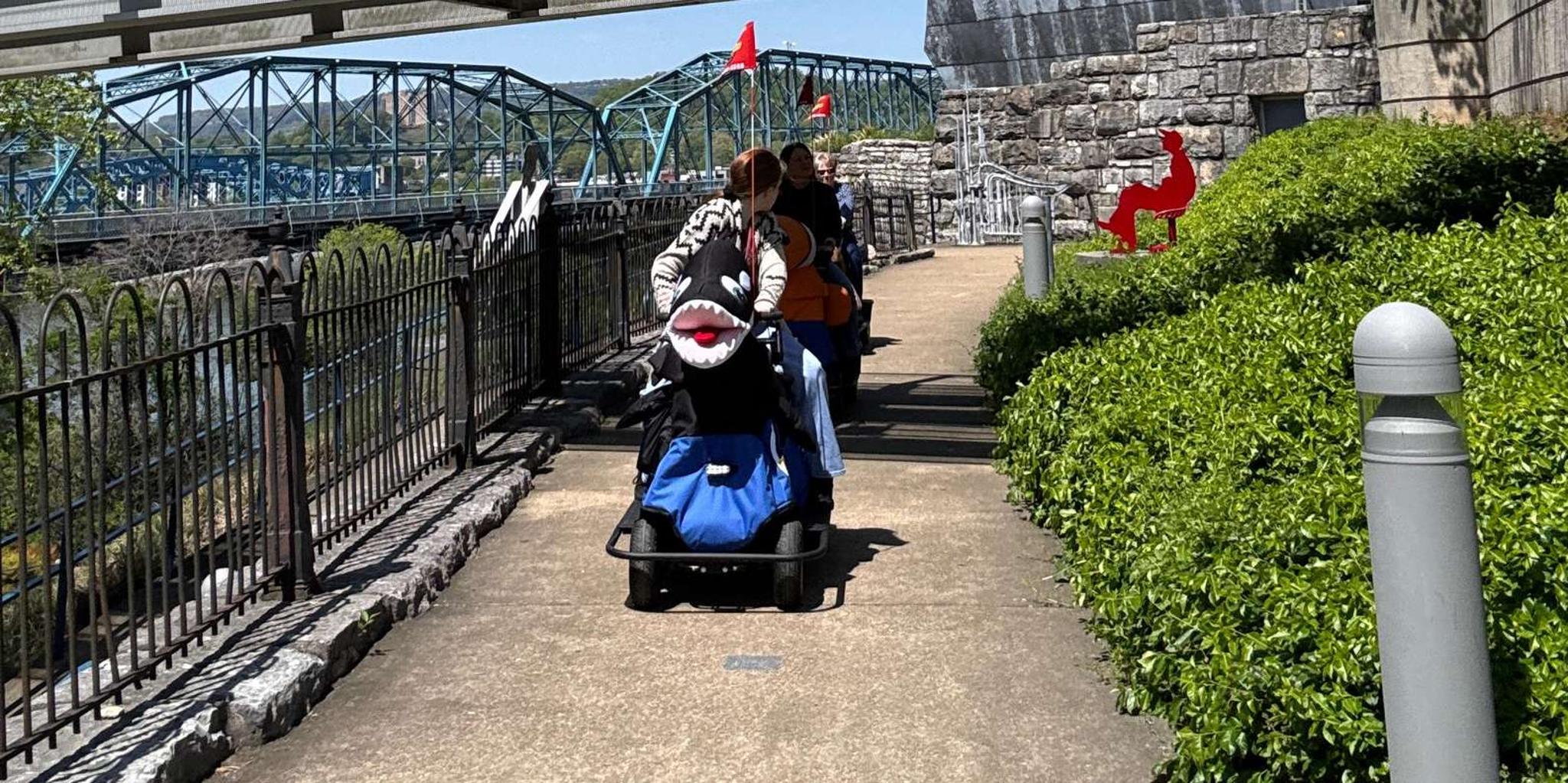 Chattanooga Rydable History Tour 1.5 hr - Image 2