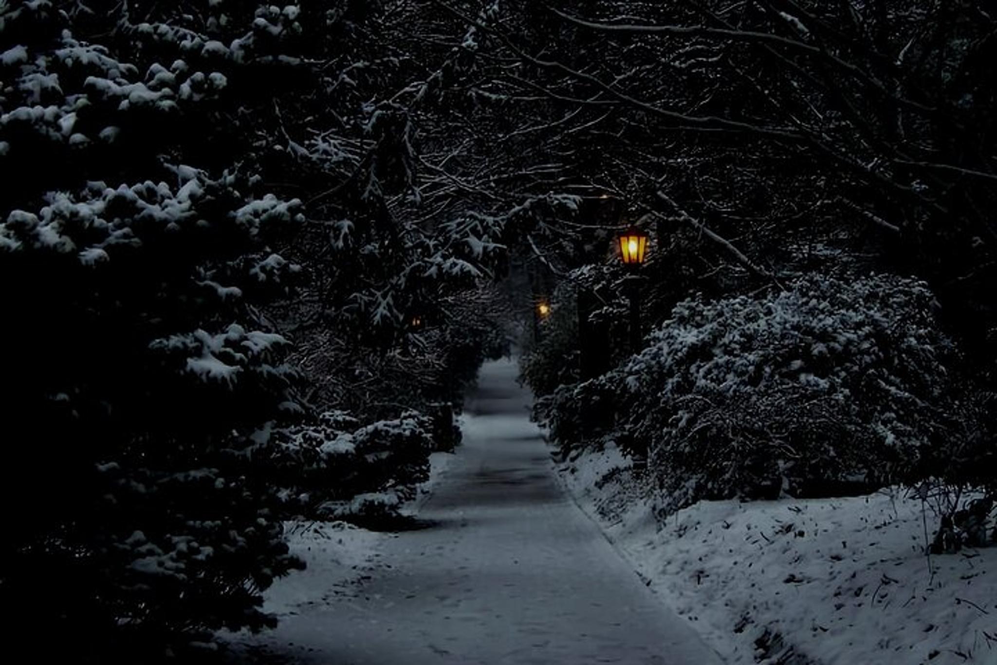 Chapel Hill True Crime Walking Tour 60 min - Image 5