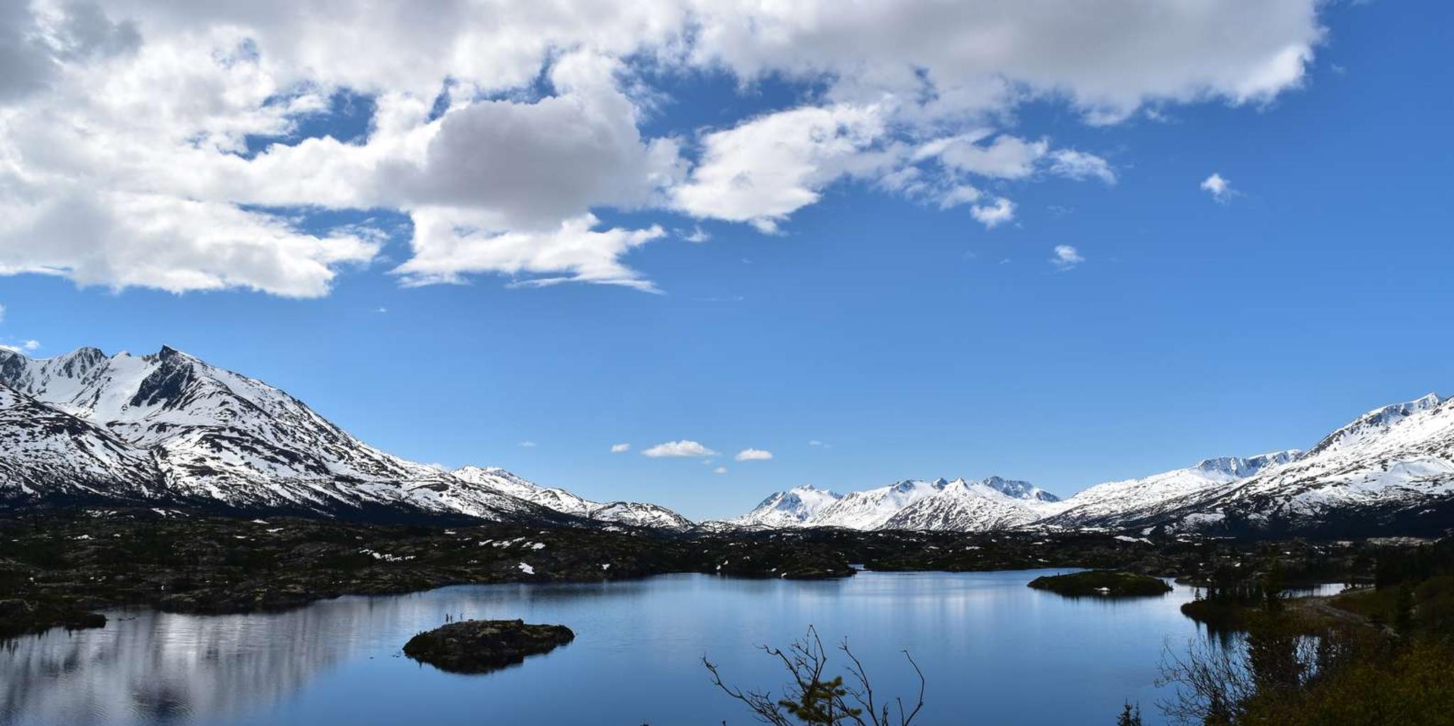 Skagway White Pass Summit Bus Tour