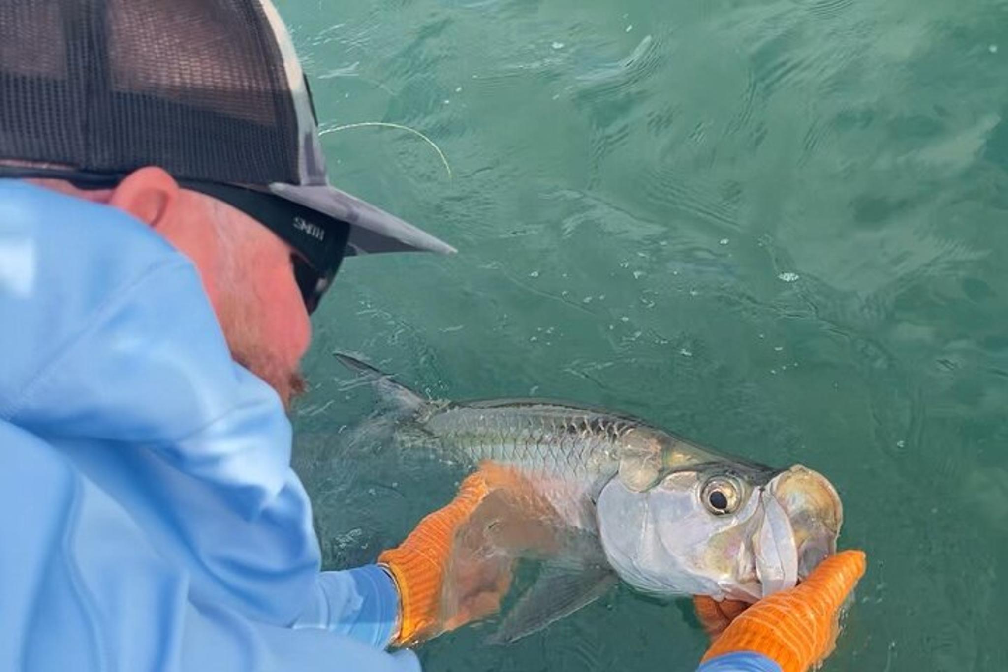 Key West Tarpon Fishing Charter at Sunset - Image 4