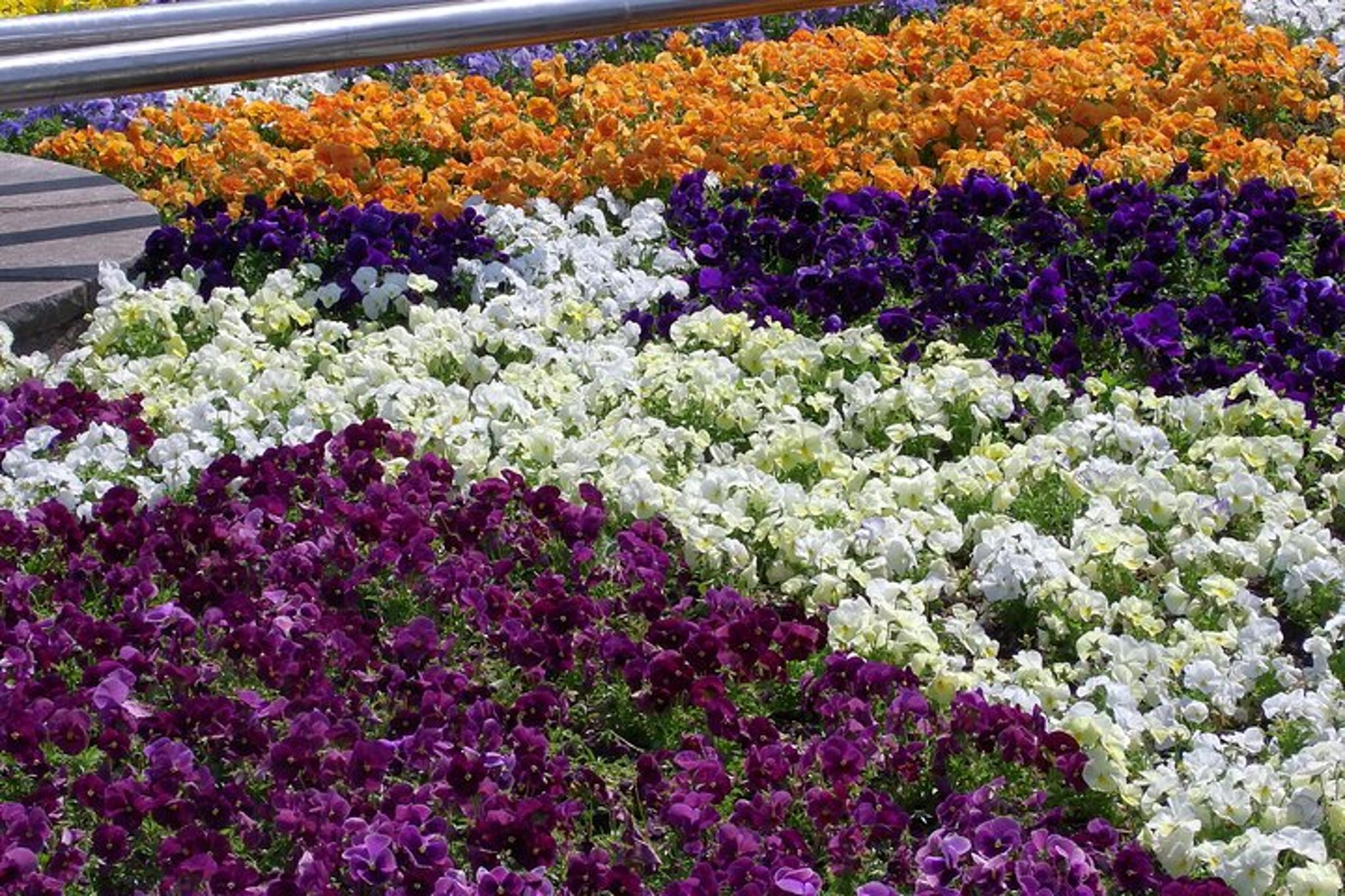 Niagara Falls Evening Tour & Fireworks - Image 3