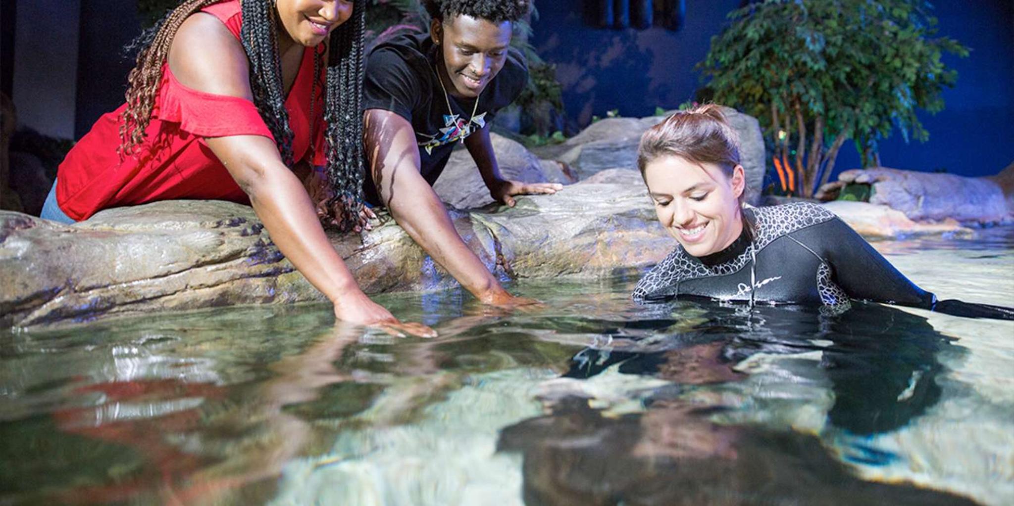 Myrtle Beach Aquarium Entry Ticket - Image 4