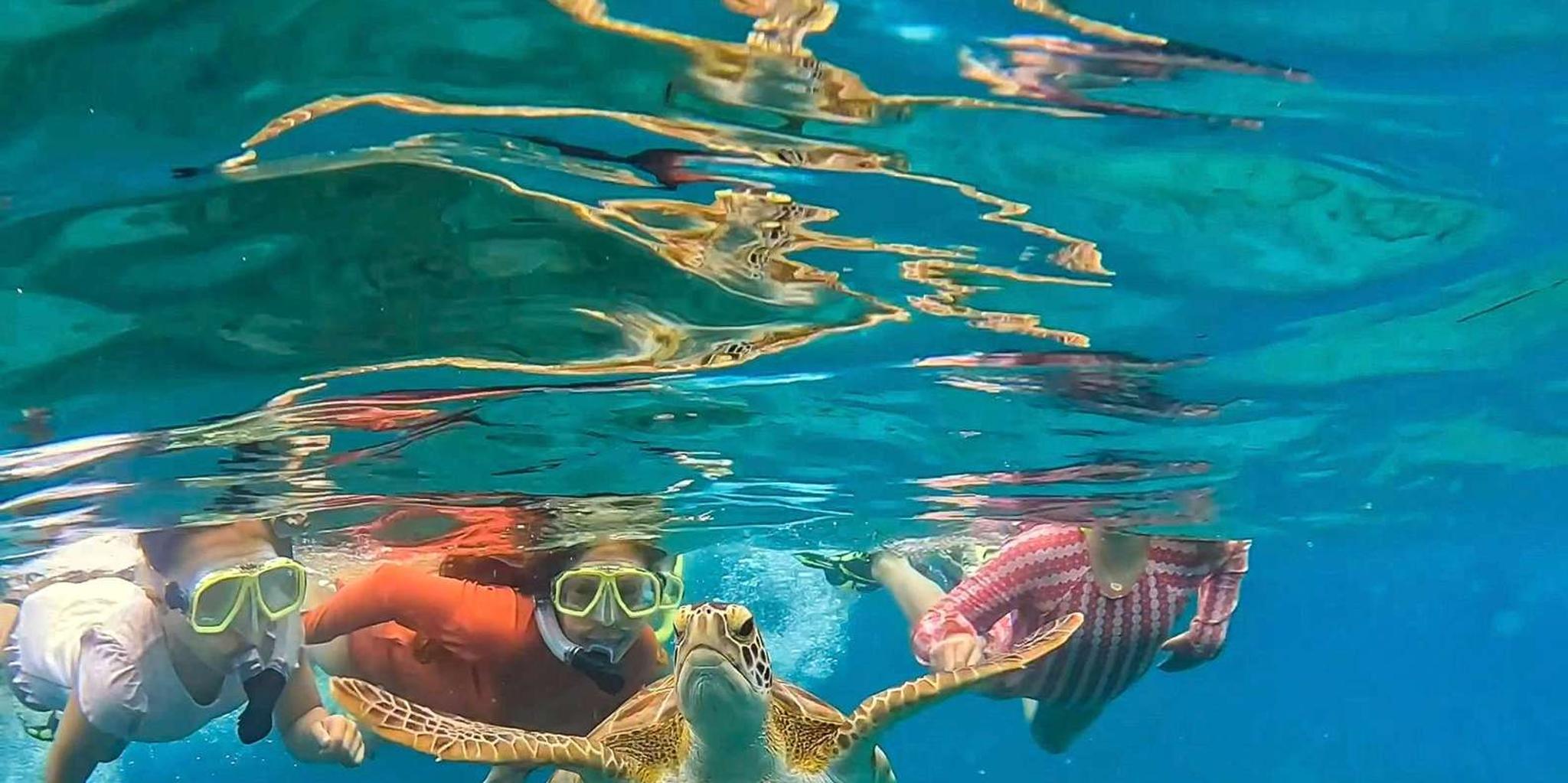 West Palm Beach Peanut Island Boat & Snorkel Tour - Image 6