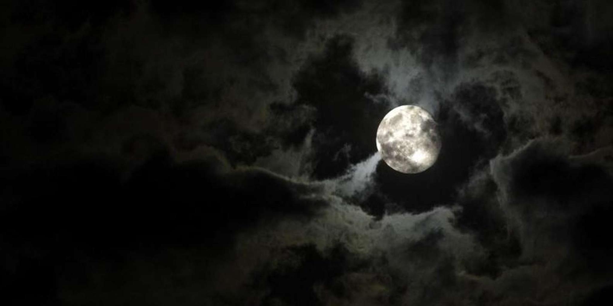 New Orleans City Walking Tour - Image 6