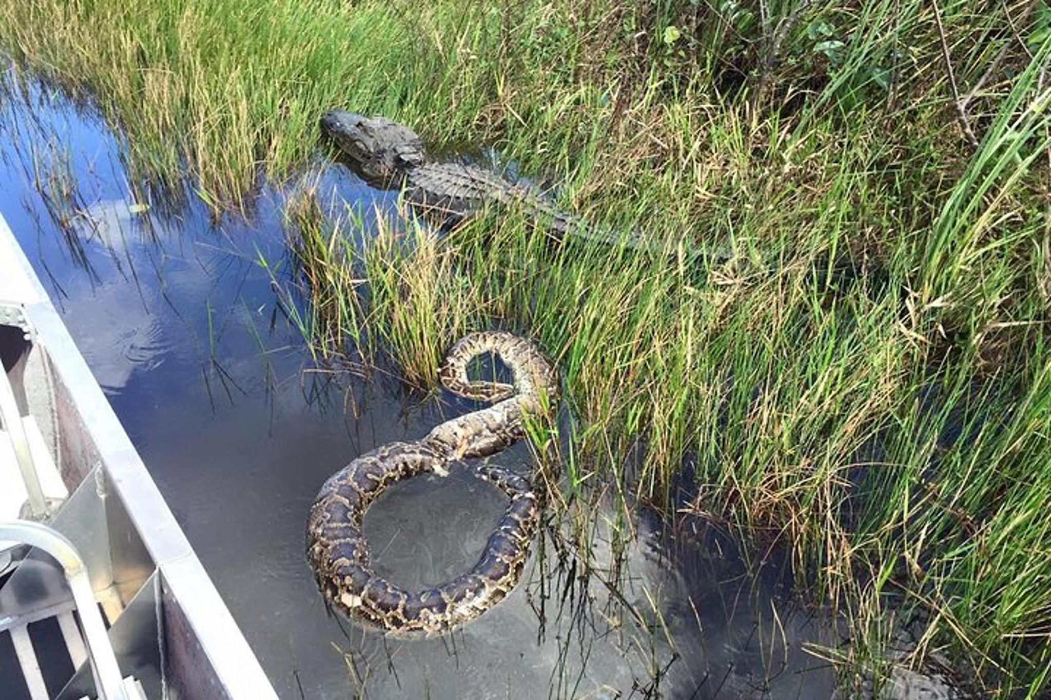 Fort Myers Everglades Adventure Tour