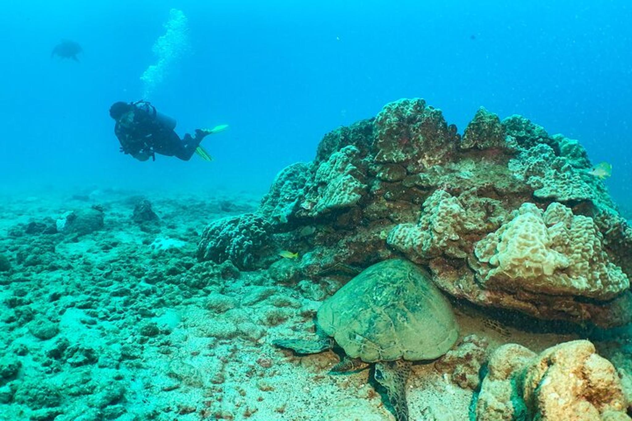 Koloa Discover Scuba Diving Experience 3 hr - Image 3