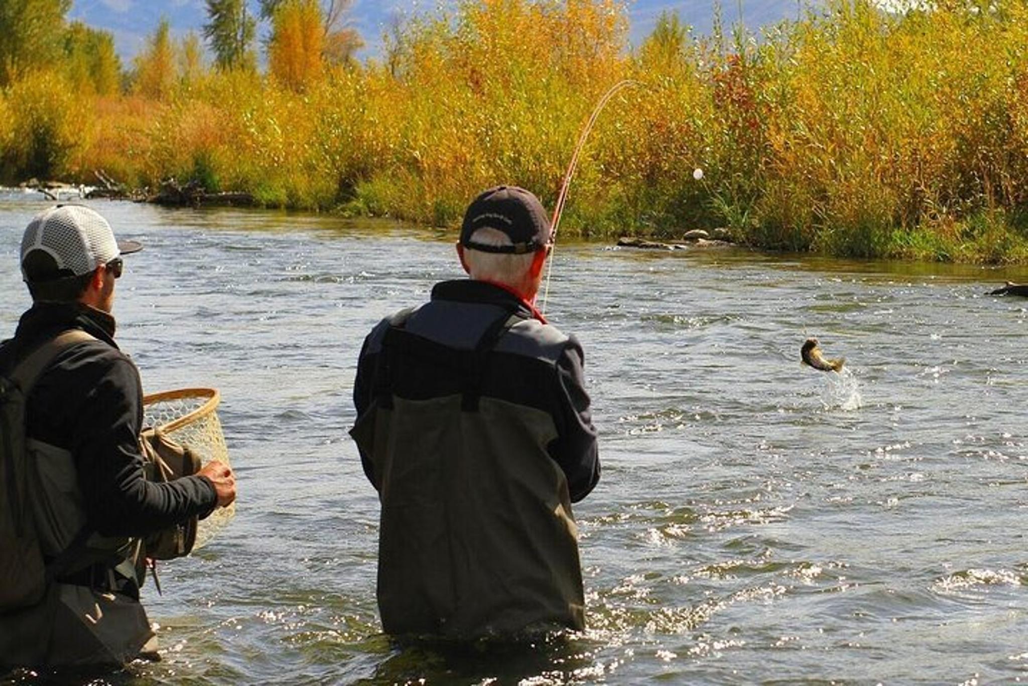Park City Fly Fishing Experience - Image 3
