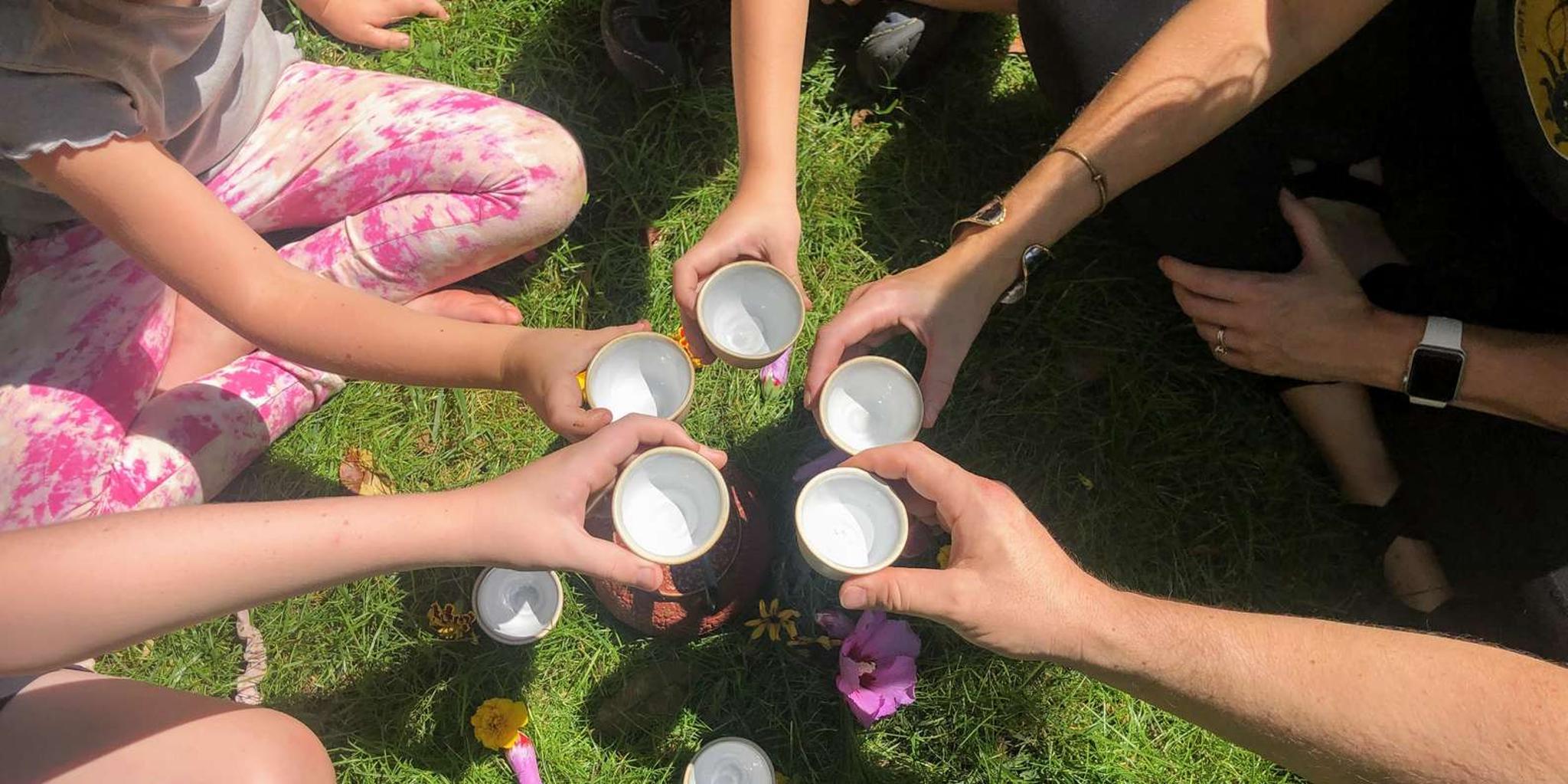 Asheville Forest Bathing & Nature Therapy 3 hr - Image 5