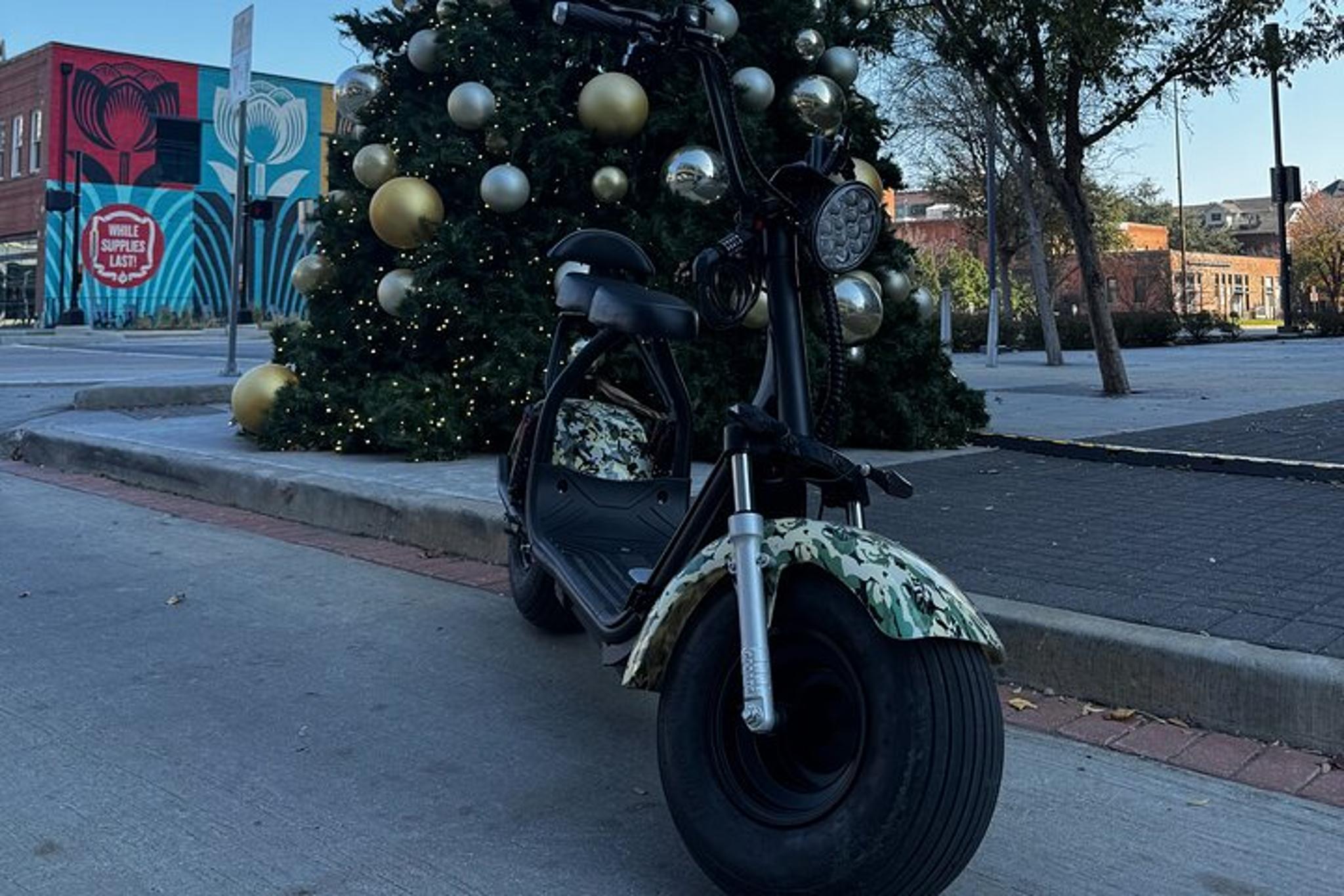 Dallas Fat Tire 2 Seater Rental - Image 3