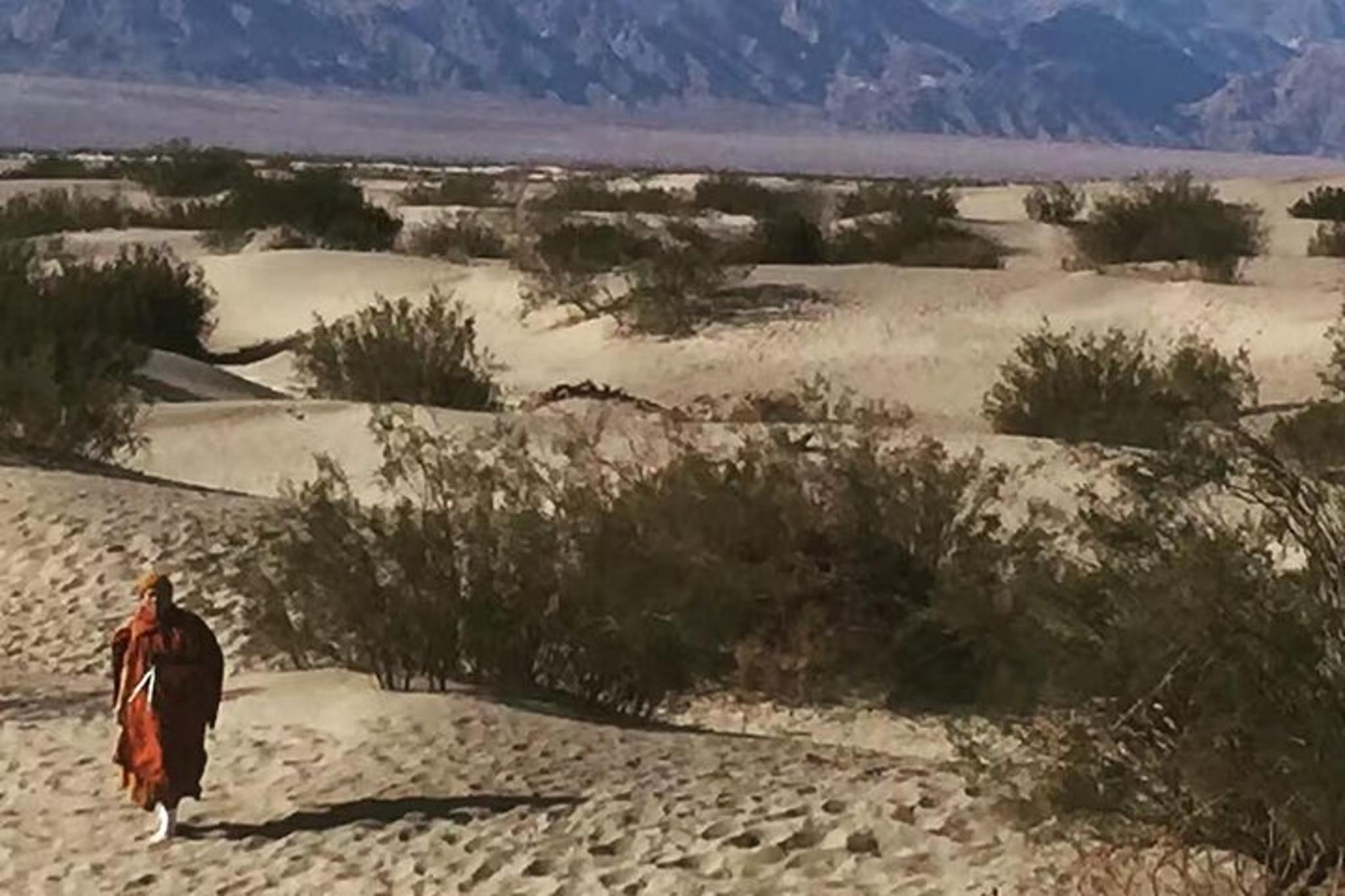 Death Valley Small Group SUV Day Tour - Image 6