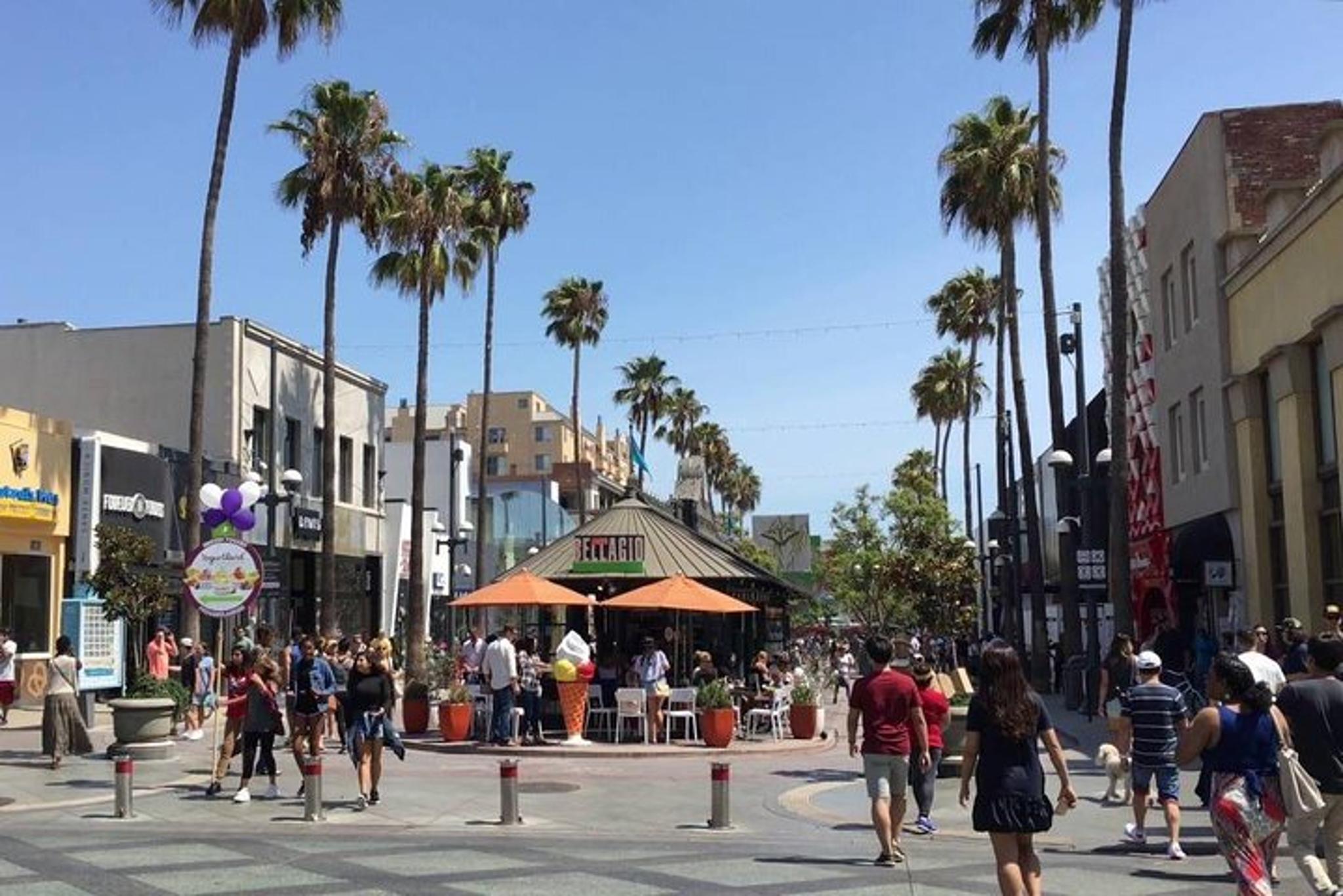 Los Angeles Private Tour - Image 2