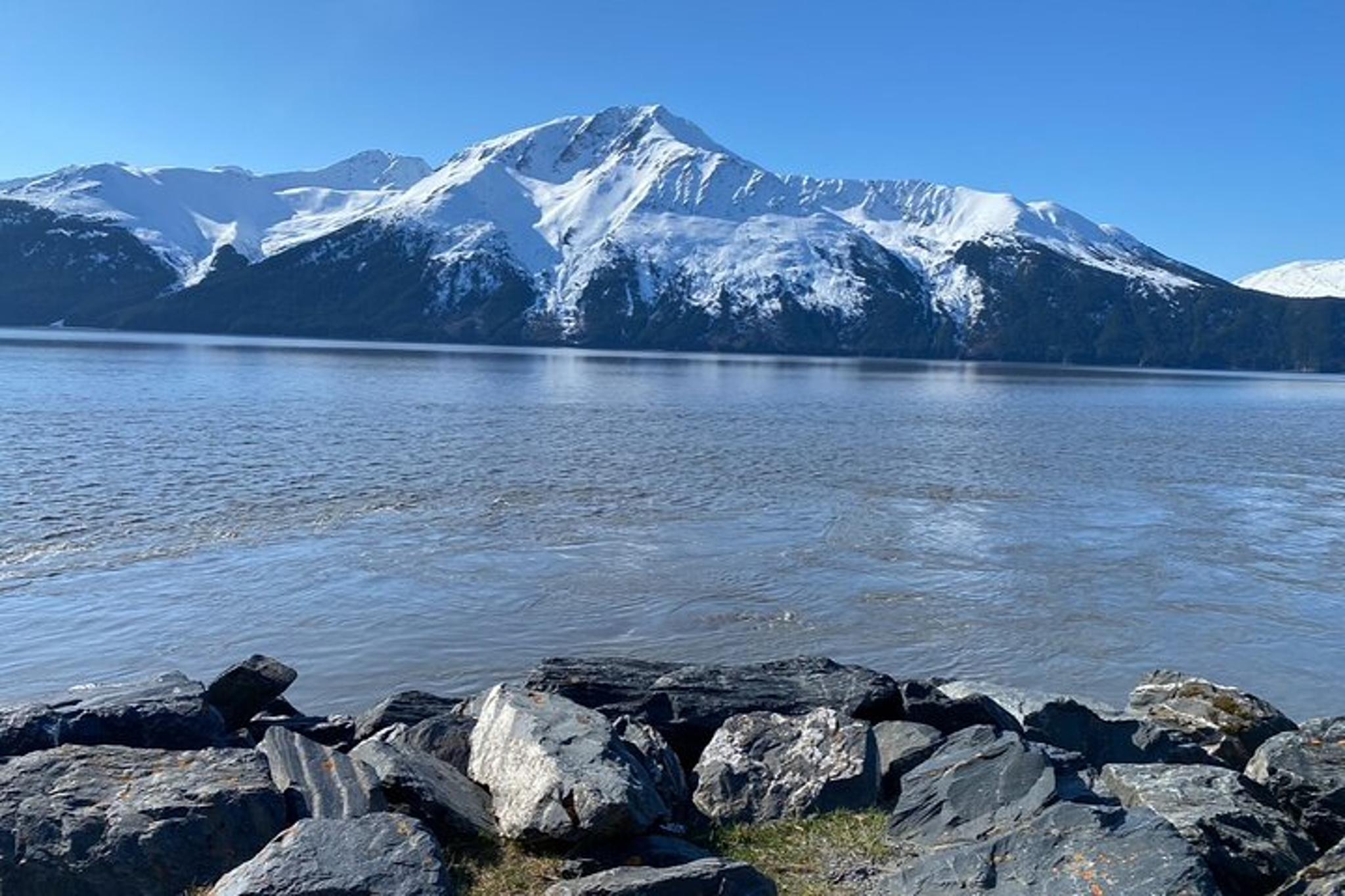 Anchorage to Whittier Cruise Port Transfer - Image 4