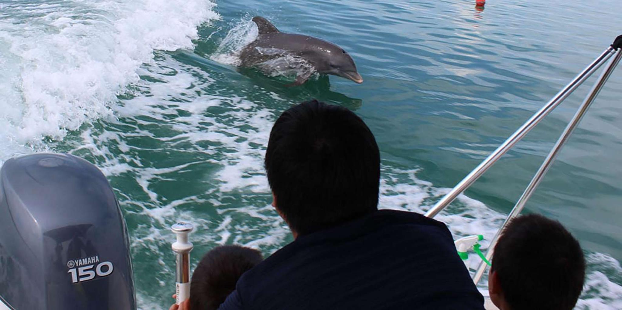 Islamorada Private Eco-Tour and Snorkeling - Image 2