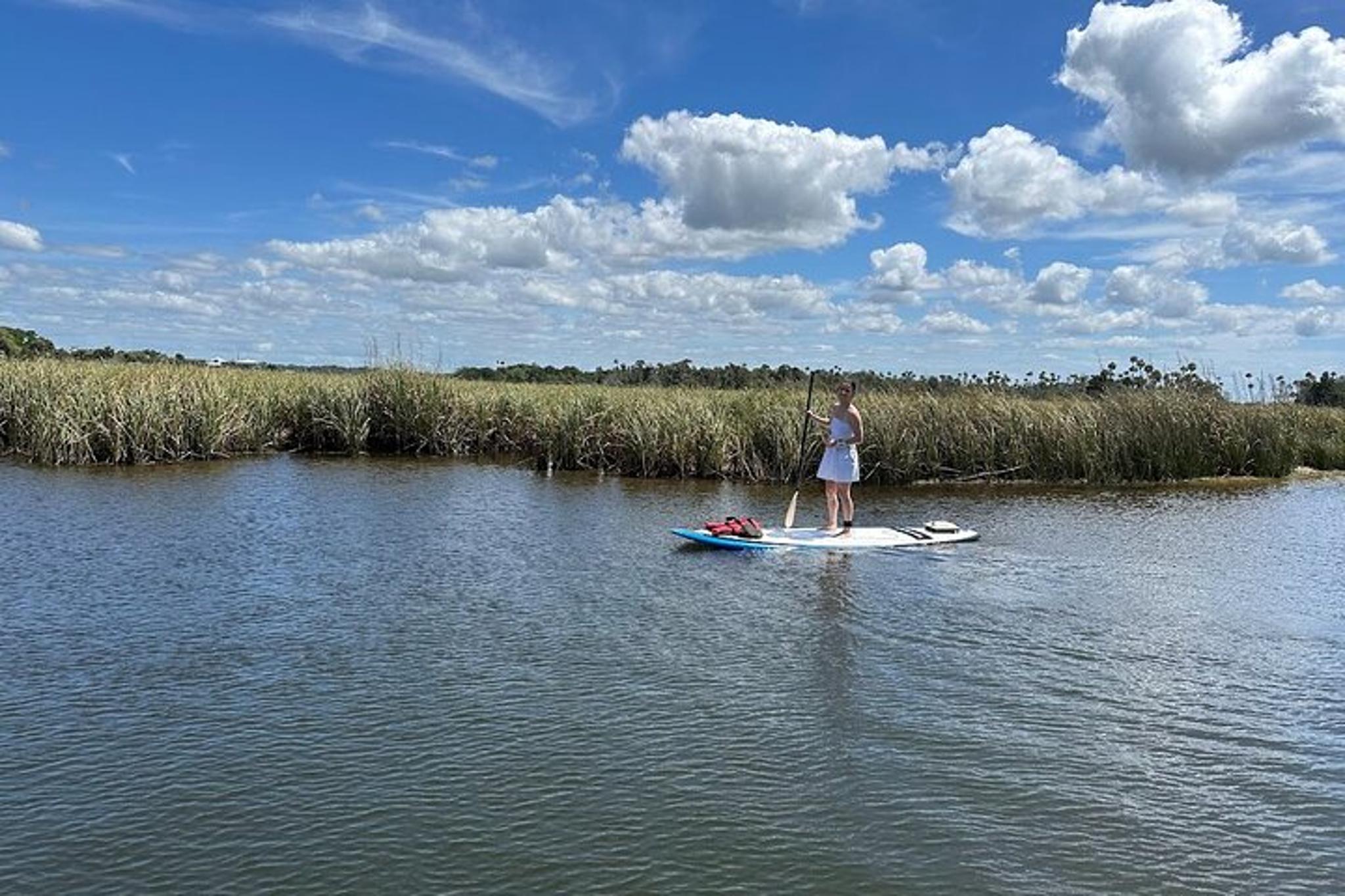 Crystal River Electric Paddleboard Rentals - Image 4