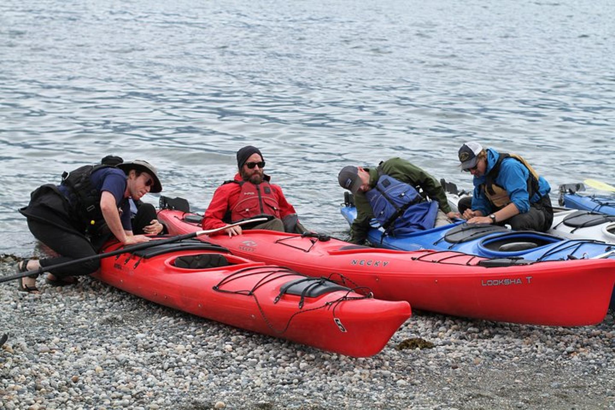 Haines Sea Kayaking Adventure - Image 3