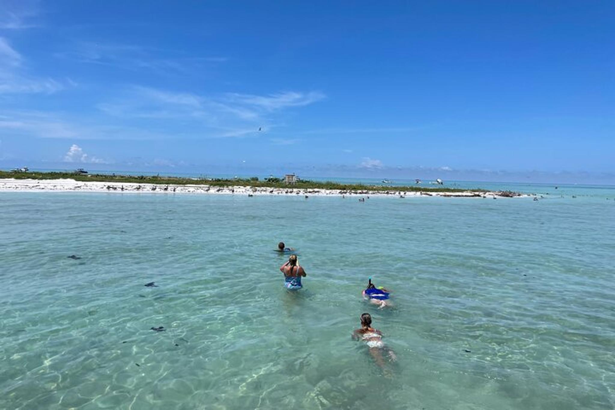 Siesta Key Eco and Dolphin Boat Tour 4 hr - Image 3