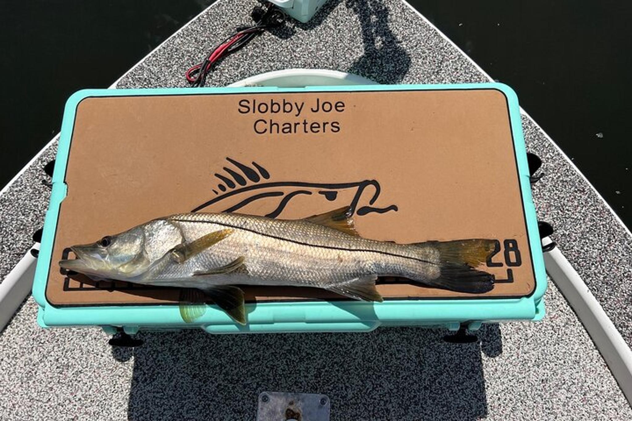 Tampa Fishing Charter - Image 5