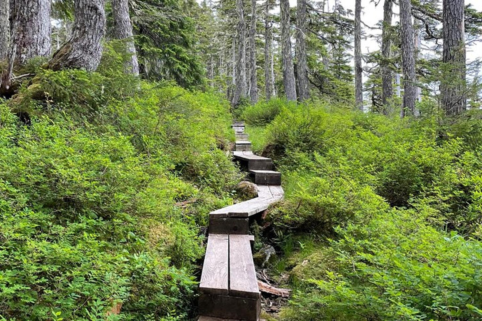 Sitka Harbor Mountain and Gavan Hill Trail Hike - Image 6