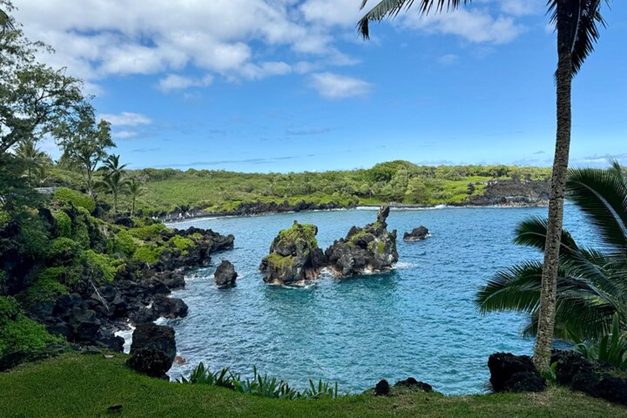 Maui Private Road to Hana Tour - Image 6