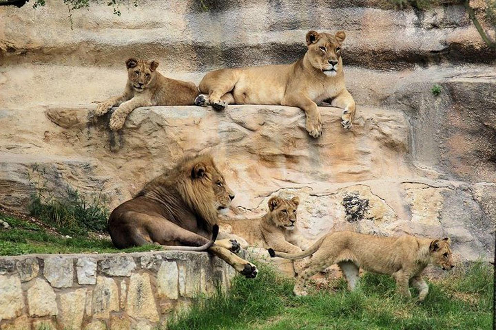 San Antonio Explorer Pass - Image 6