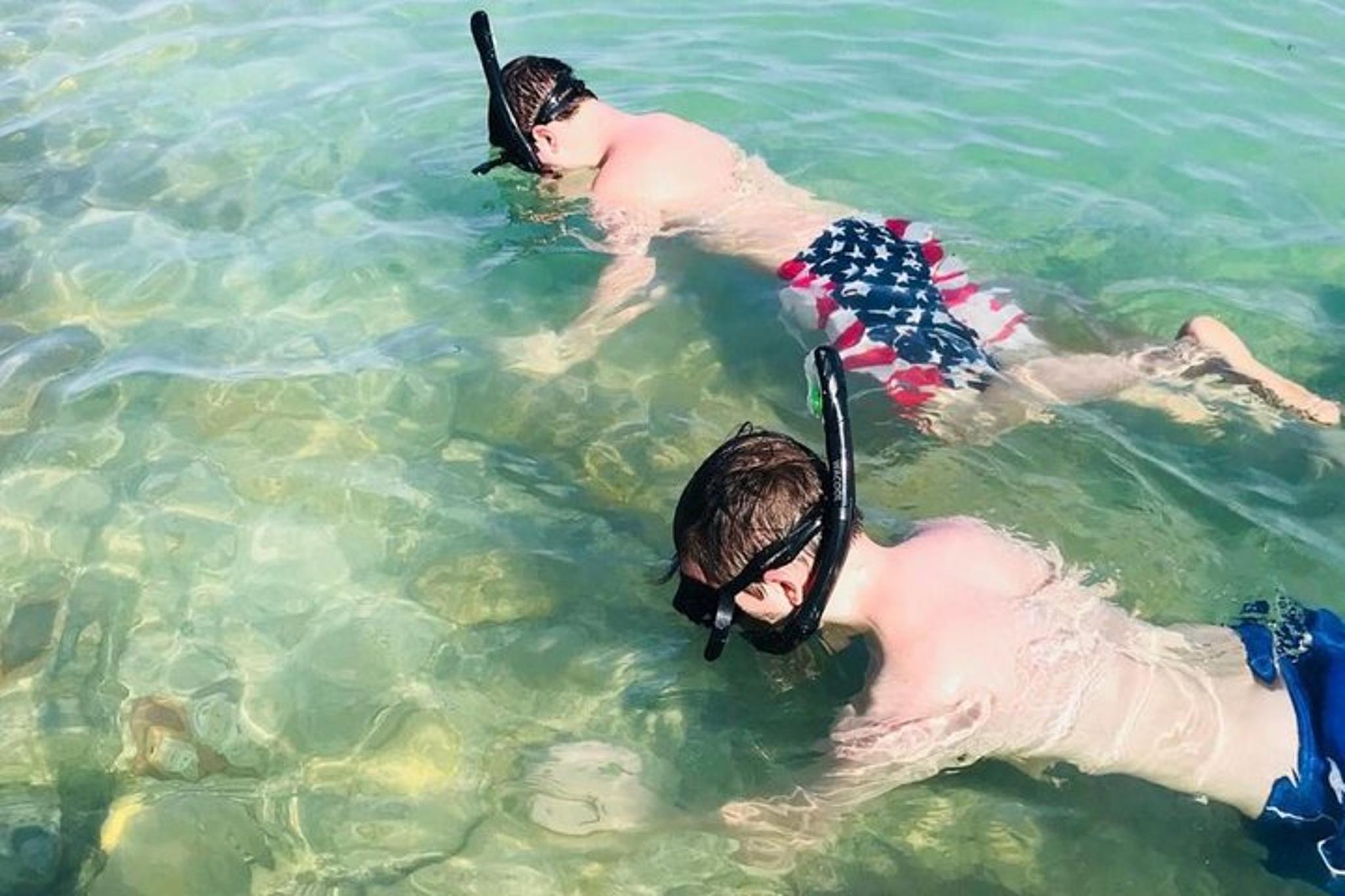 Tierra Verde Dolphin Cruise and Snorkeling to Shell Key 2 hr - Image 4