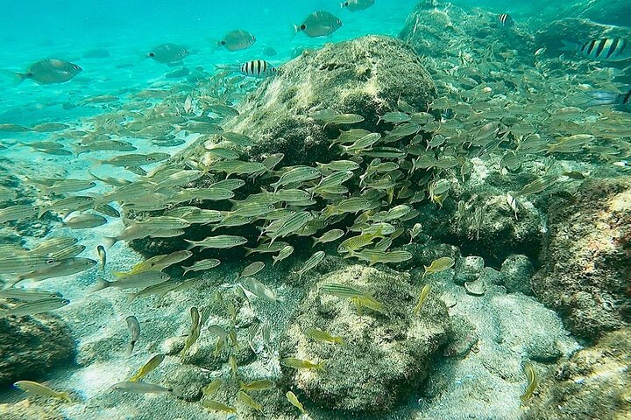 Riviera Beach Peanut Island Adventure