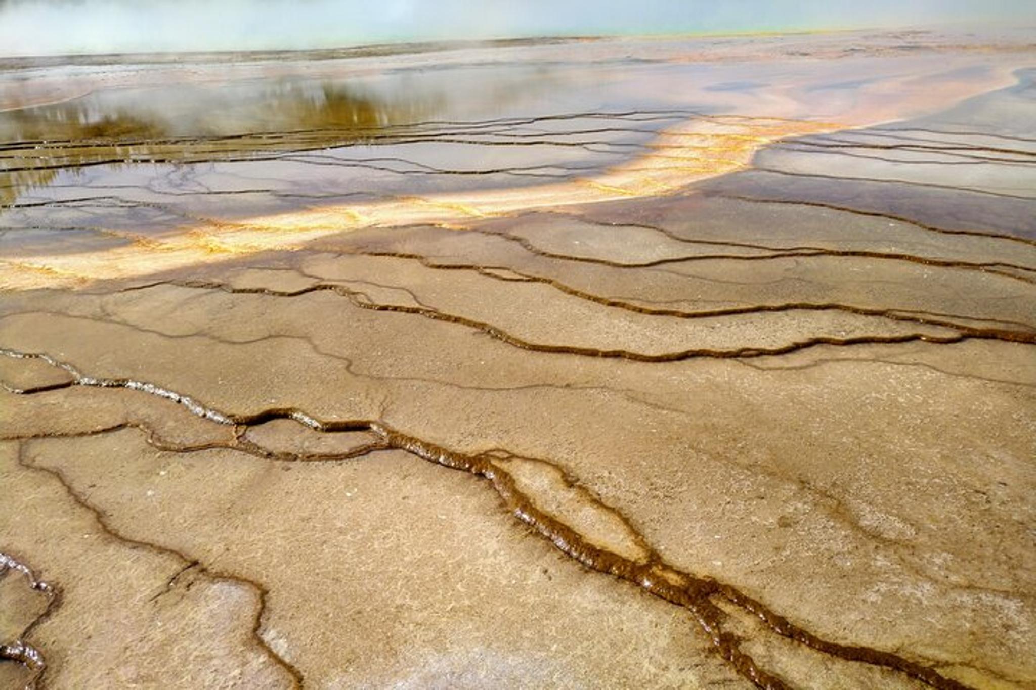Yellowstone National Park Tour Upper and Lower Loop 2 Days - Image 6