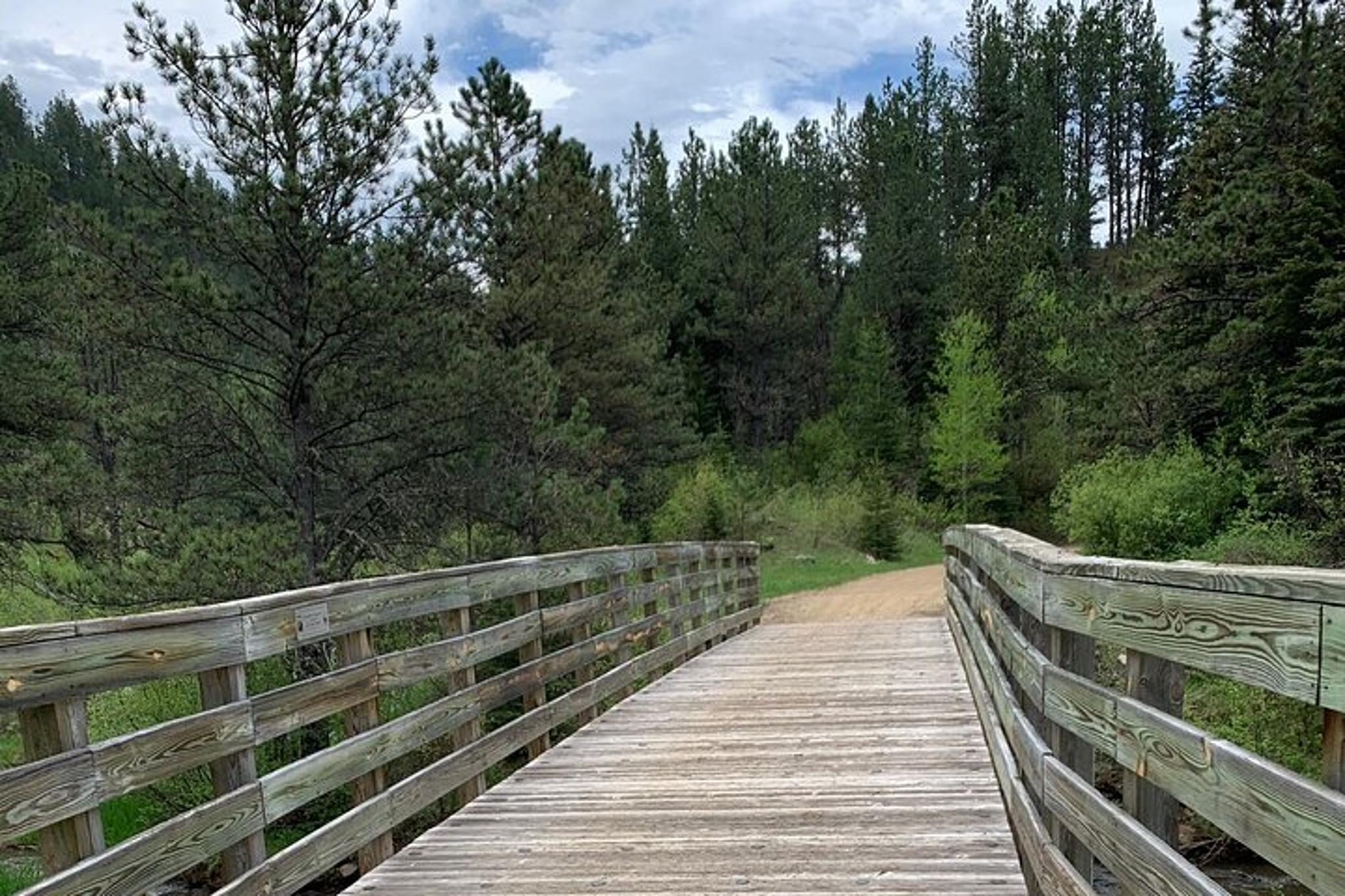 Mickelson Trail Bike Tour - Image 5