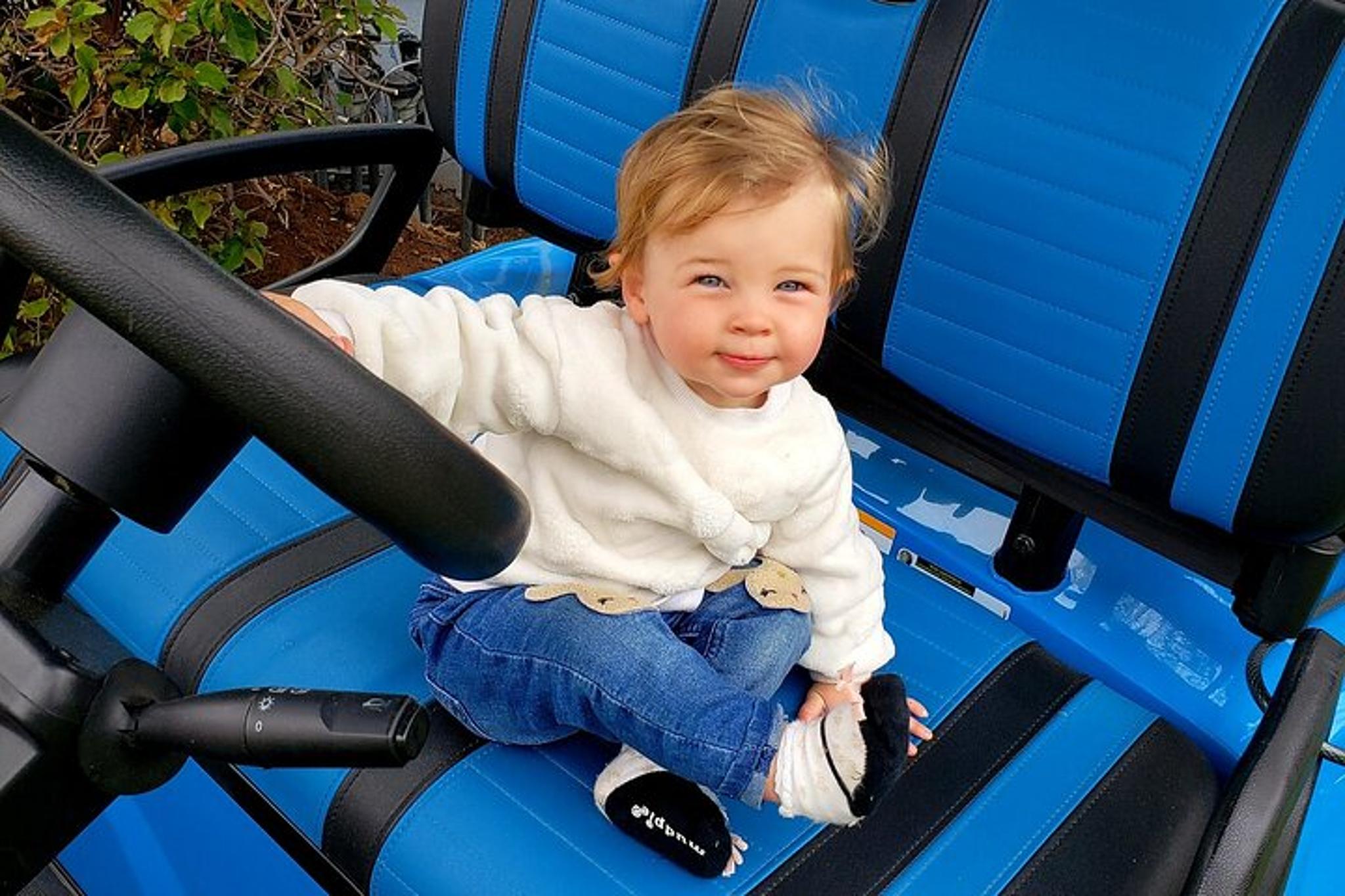 Carlsbad E-bike and Golf Cart Rentals - Image 3