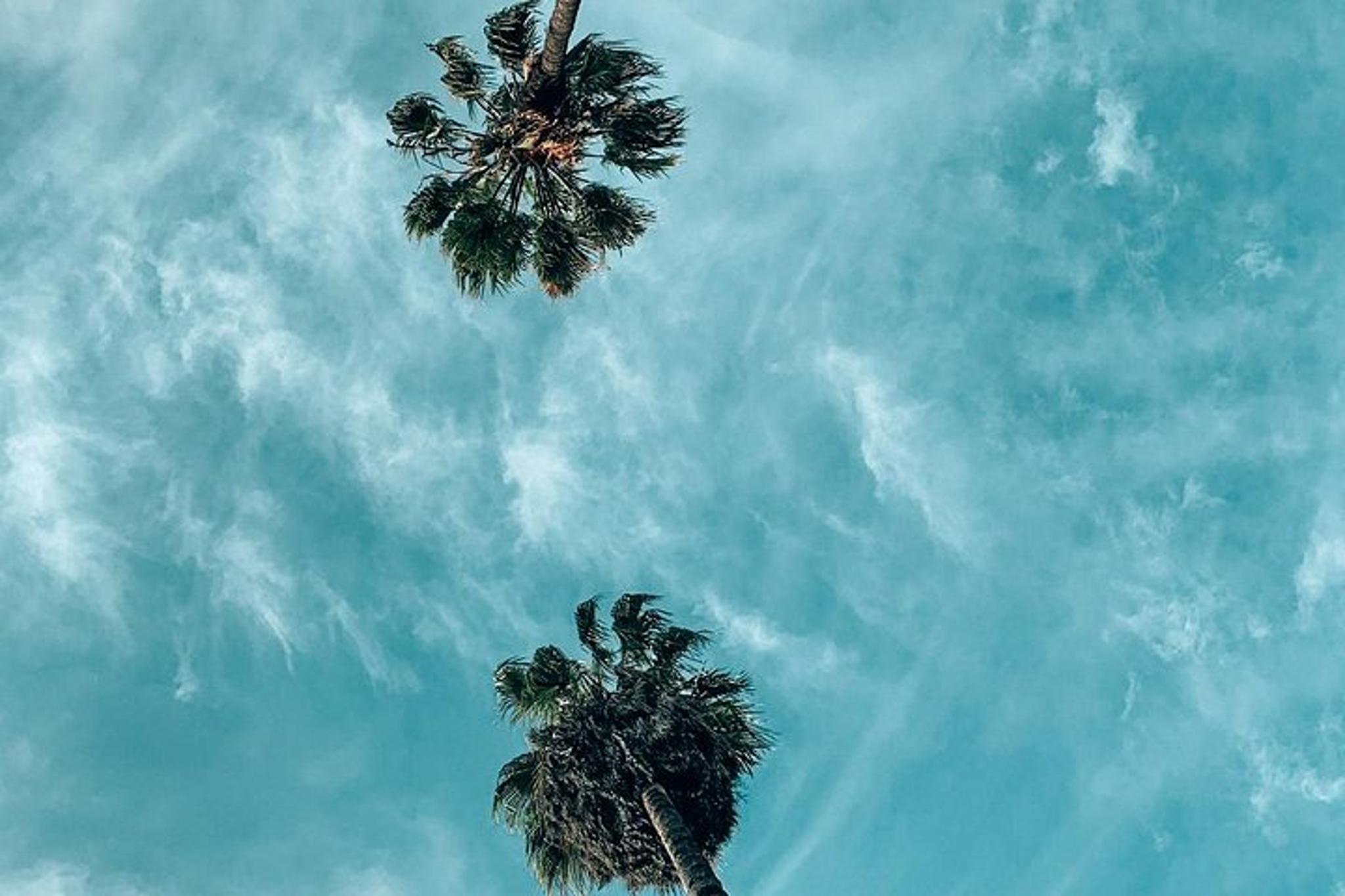 Los Angeles Photo Tour of Instagram Spots - Image 4