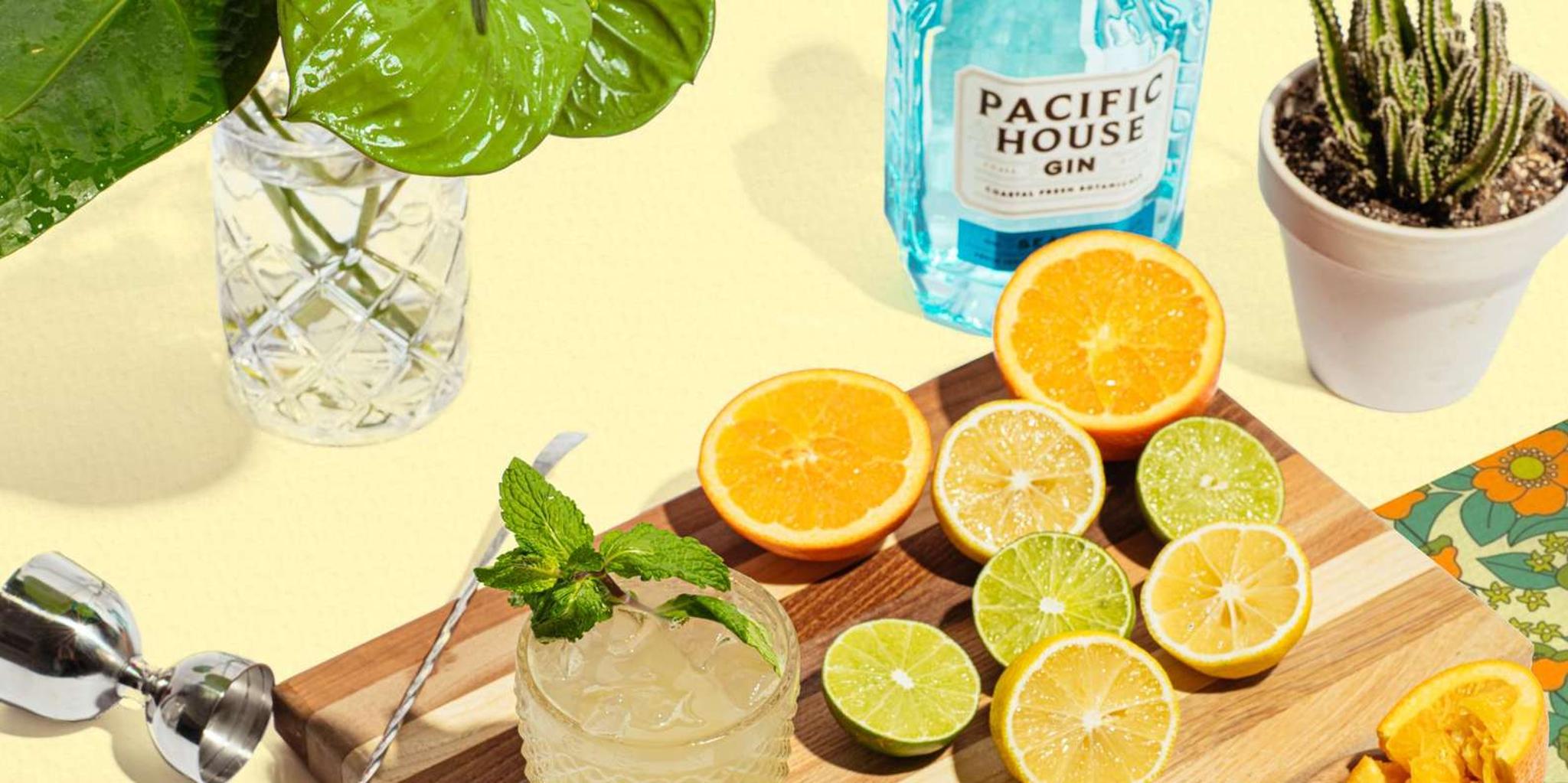 San Francisco Distillery Gin Cocktail Class 1.5 hr - Image 1