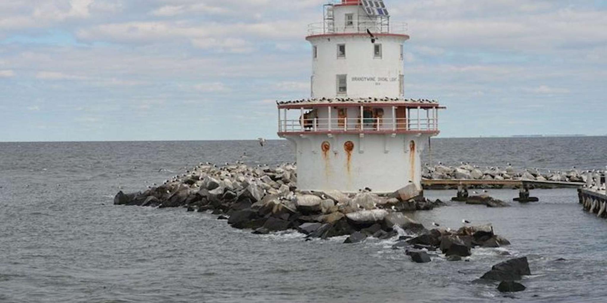 Cape May Lighthouse Cruise - Image 2