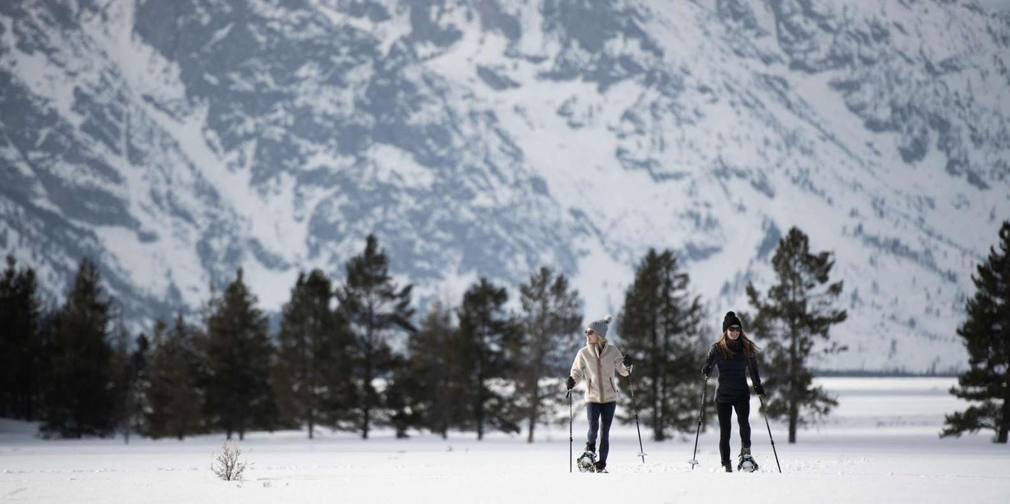 Jackson Wildlife and Snowshoe Tour in Grand Teton - Image 6