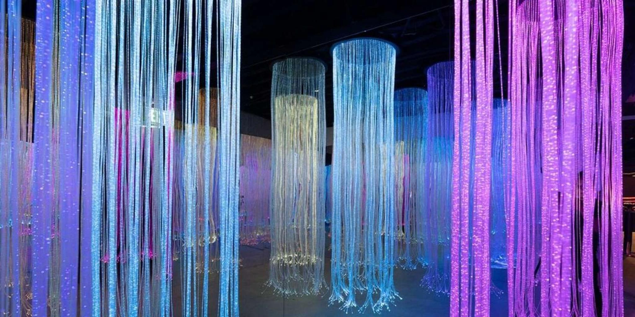 San Diego WNDR Museum Entry Ticket 1 hr - Image 4