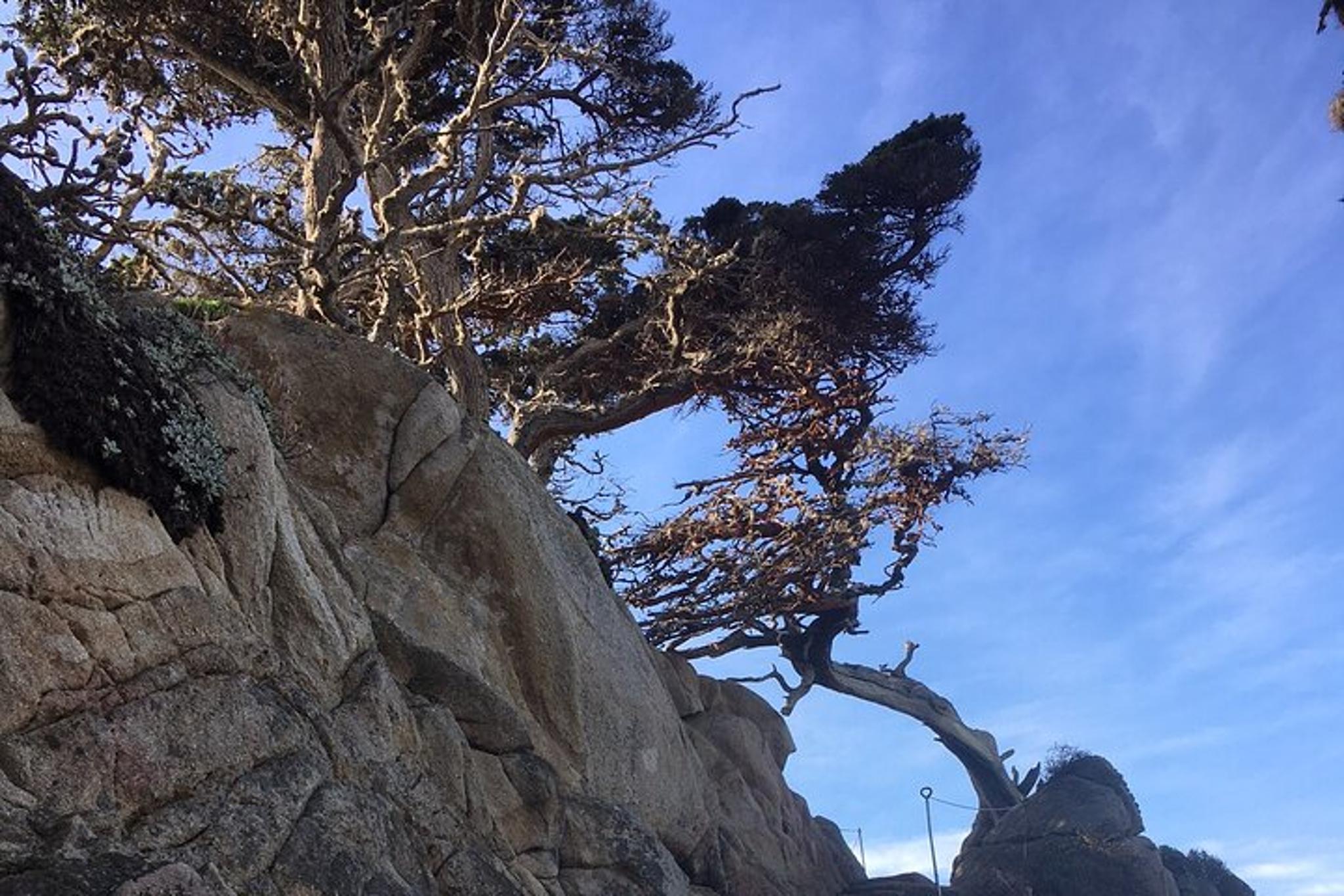Big Sur Hiking Adventure - Image 3