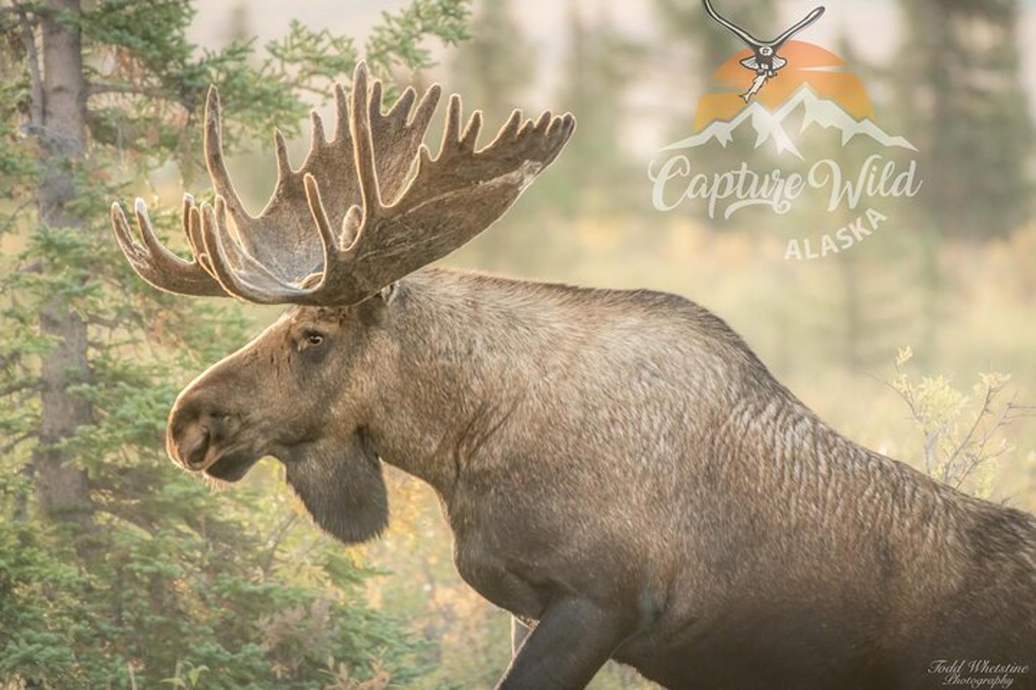 Fairbanks Photography Workshop - Image 3