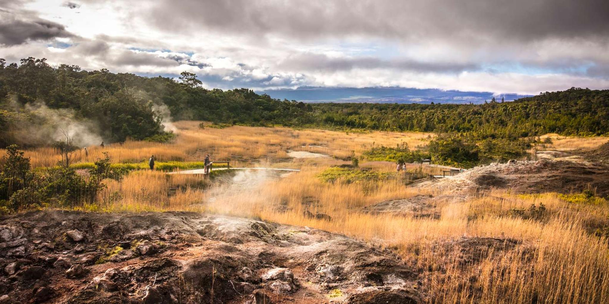 Kohala Volcano Hike Adventure - Image 4