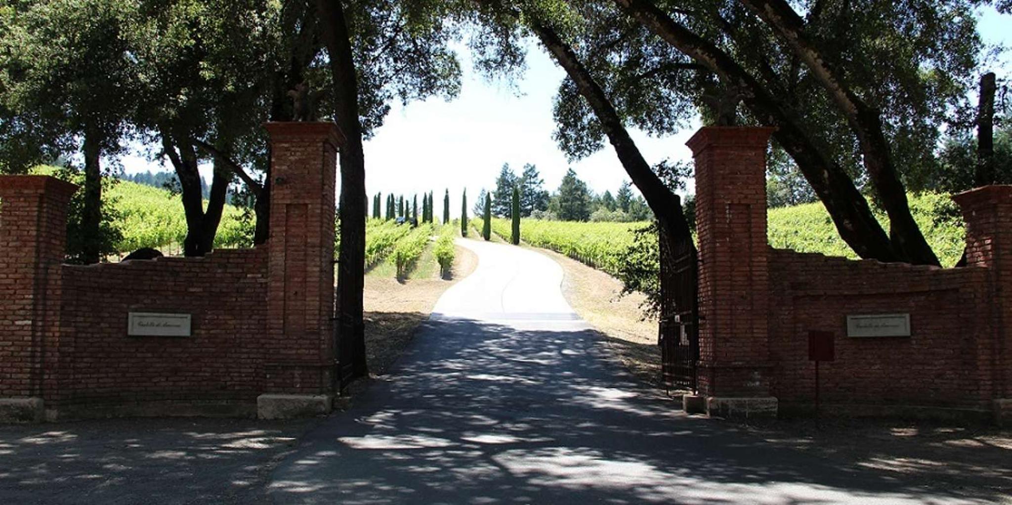 San Francisco Wine and City Tour