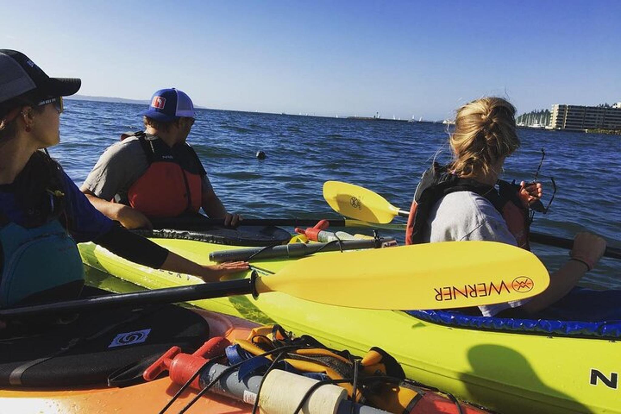 Seattle Sound Kayaking Tour 2 hr - Image 2