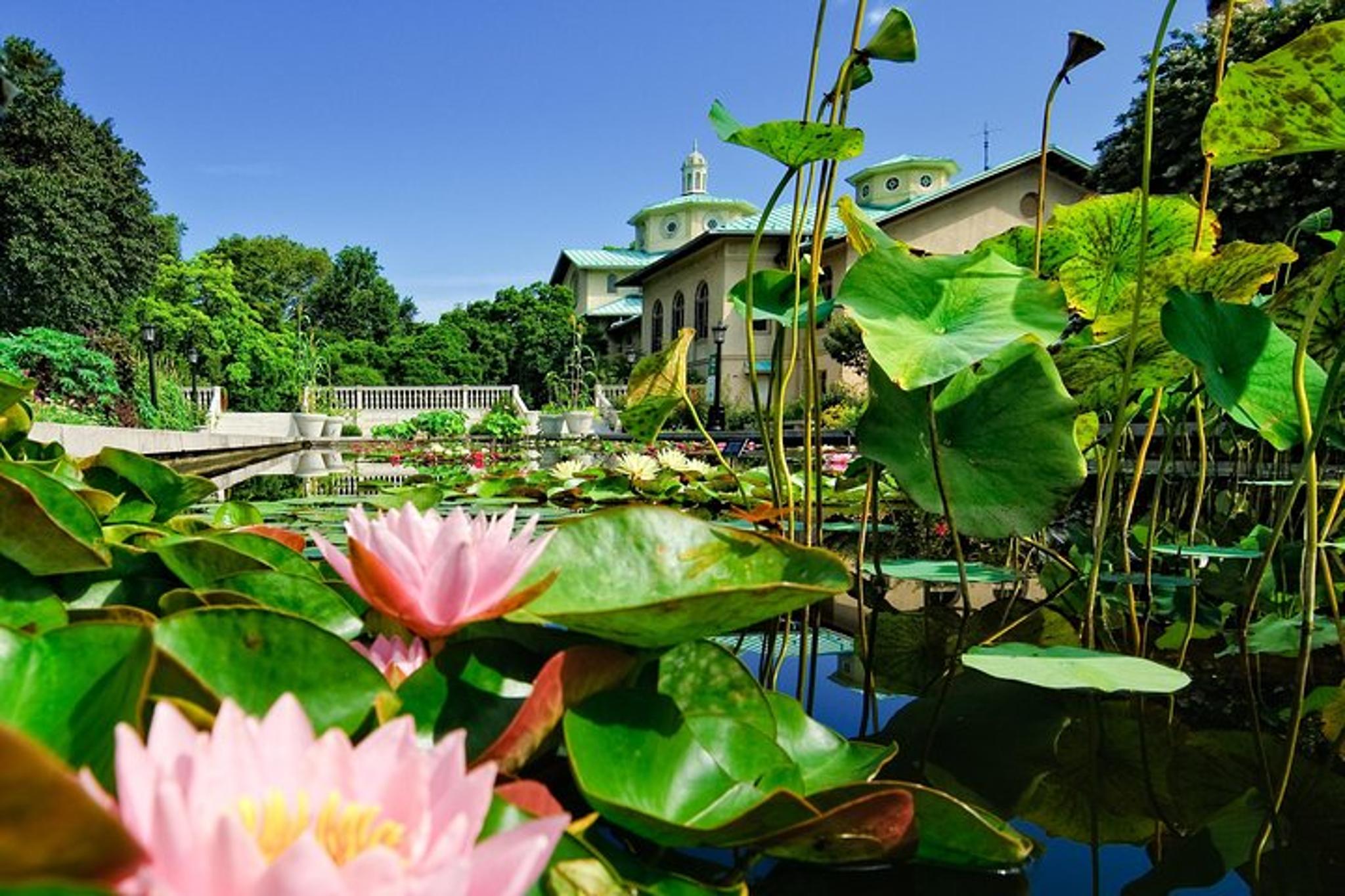 New York Sightseeing Pass: Empire State Building - Image 2