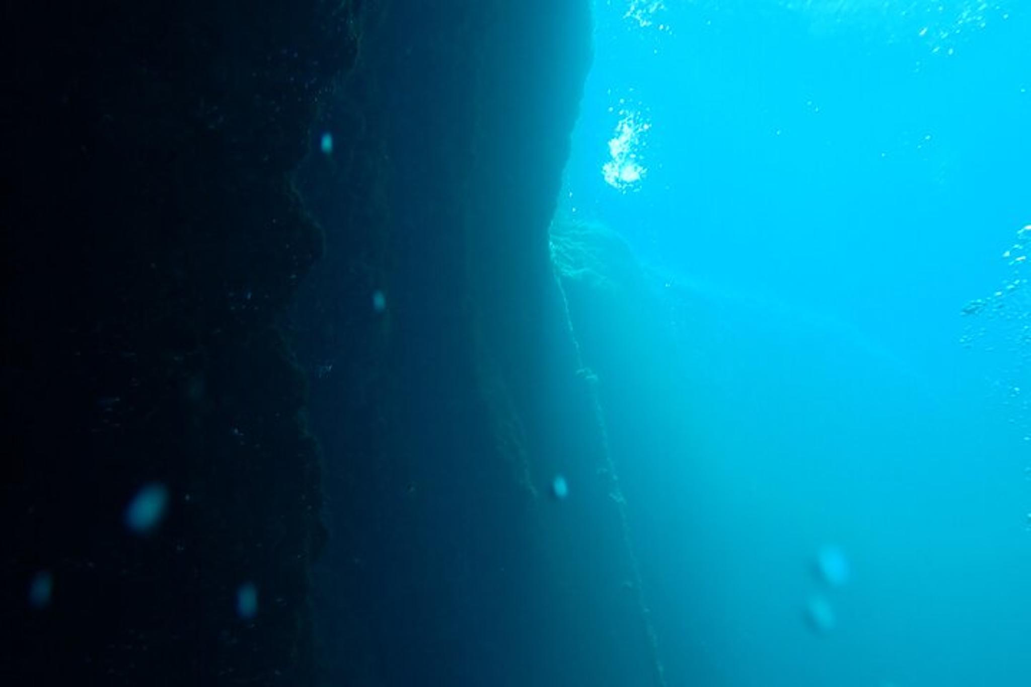 Blue Grotto Scuba Dive in Kings Bay - Image 5